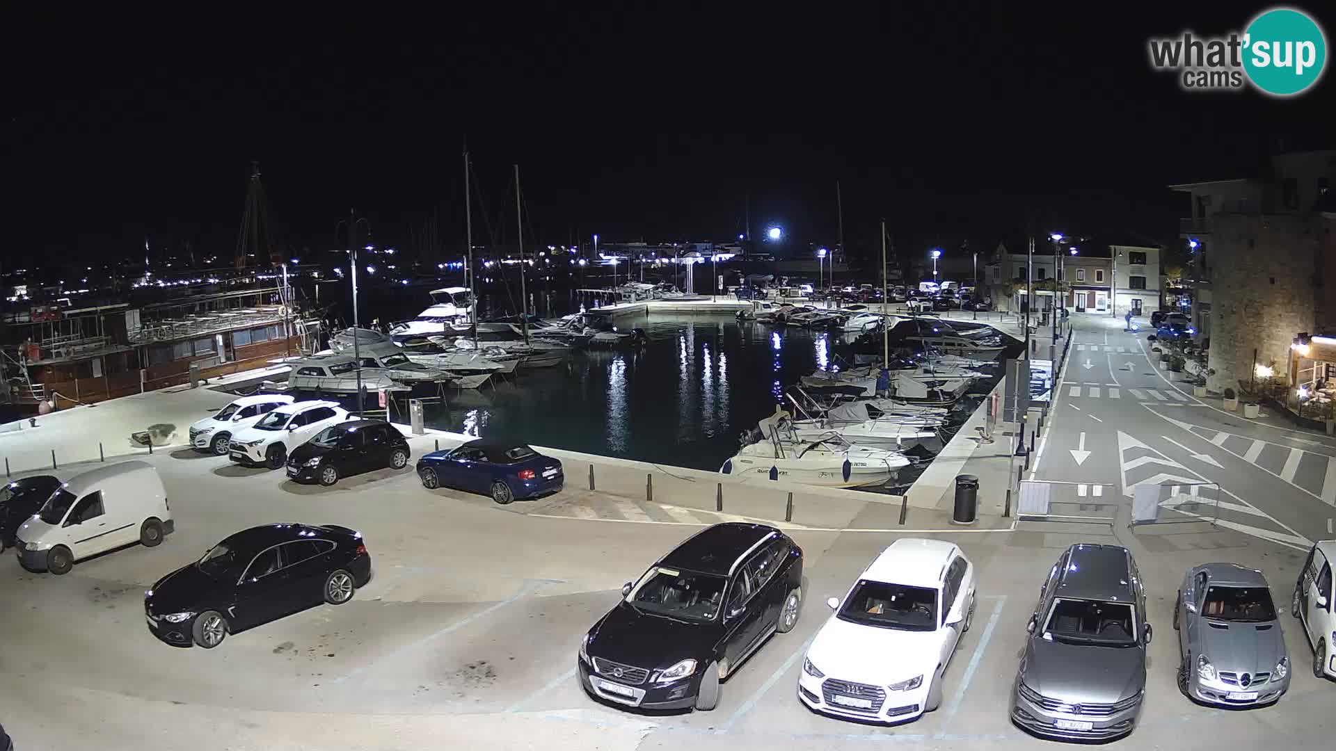 Novigrad | Porporela marina
