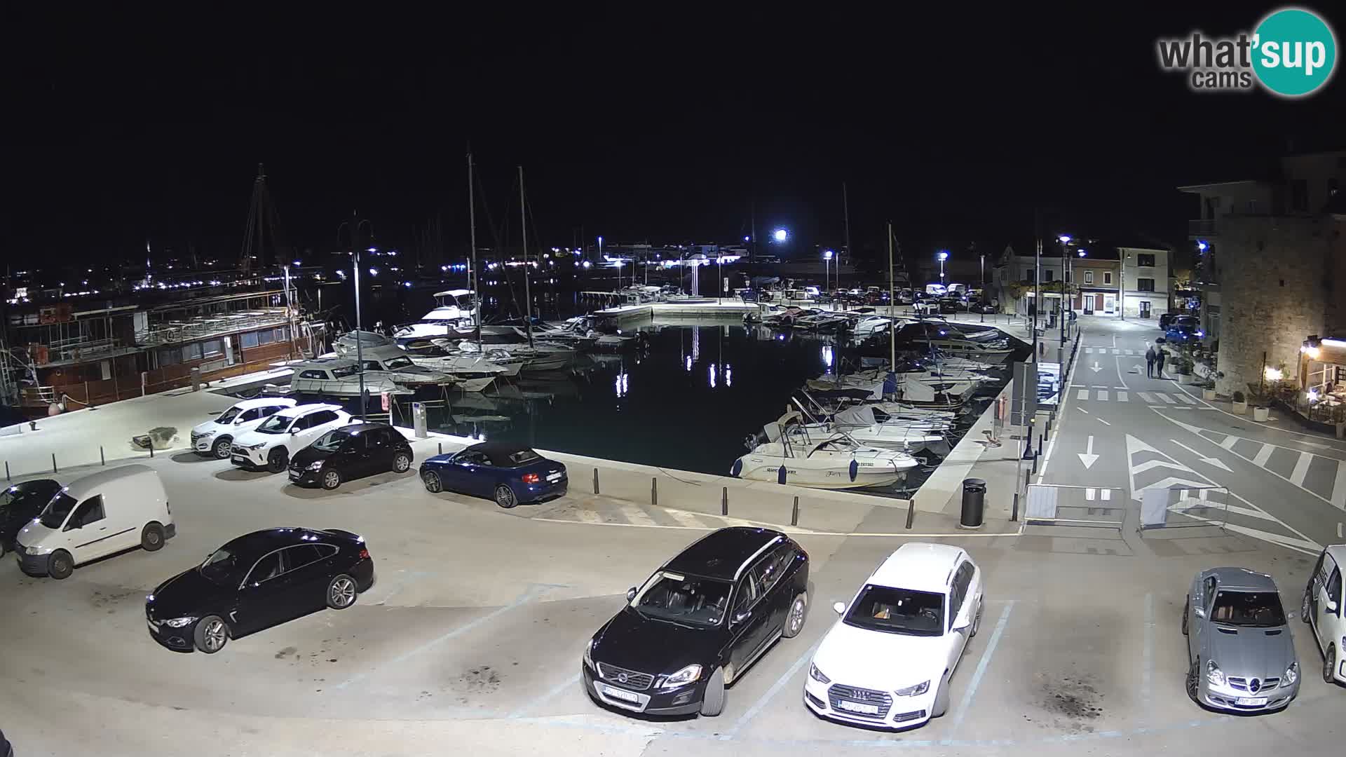 Novigrad | Porporela marina
