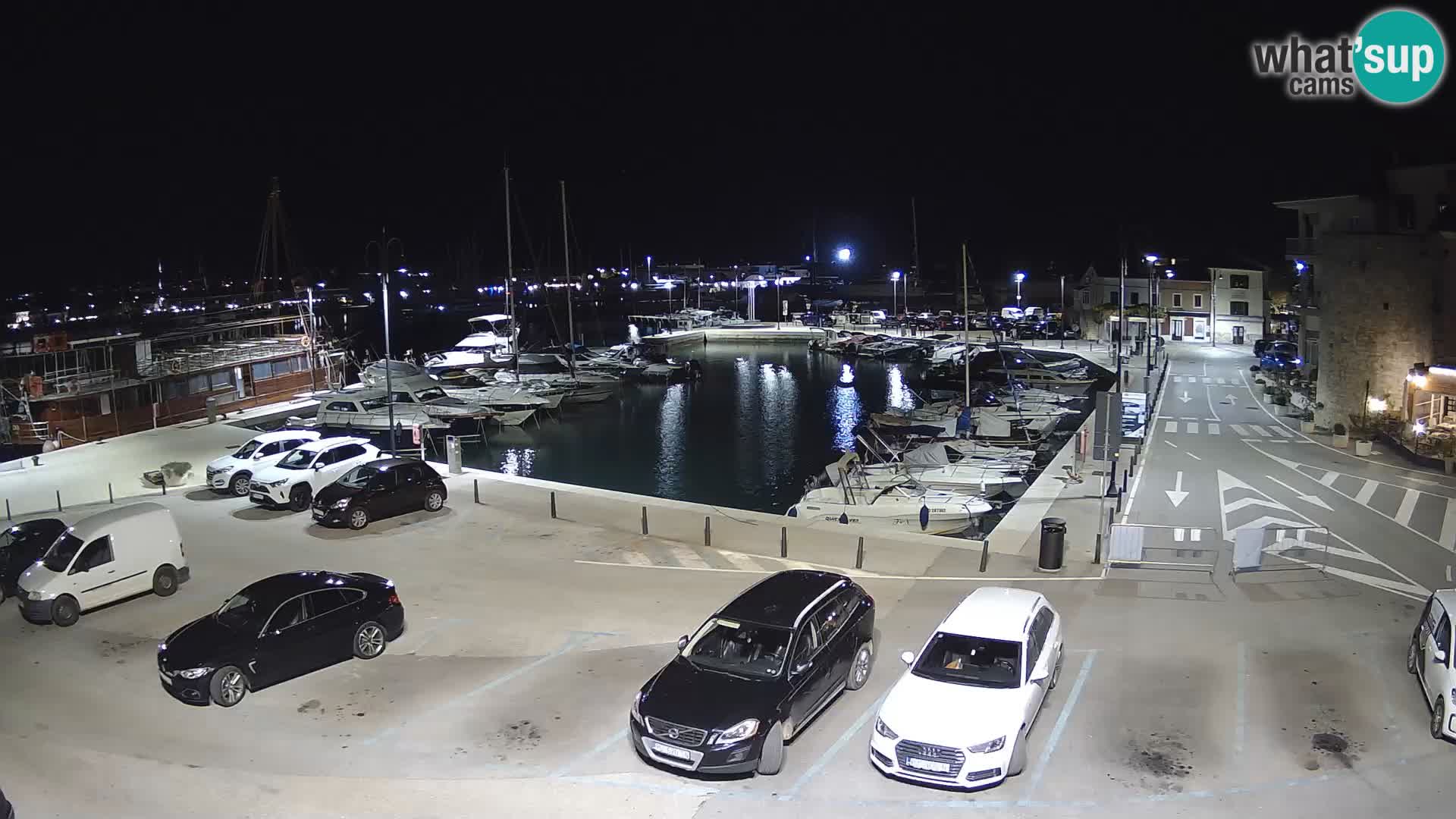 Novigrad | Porporela marina