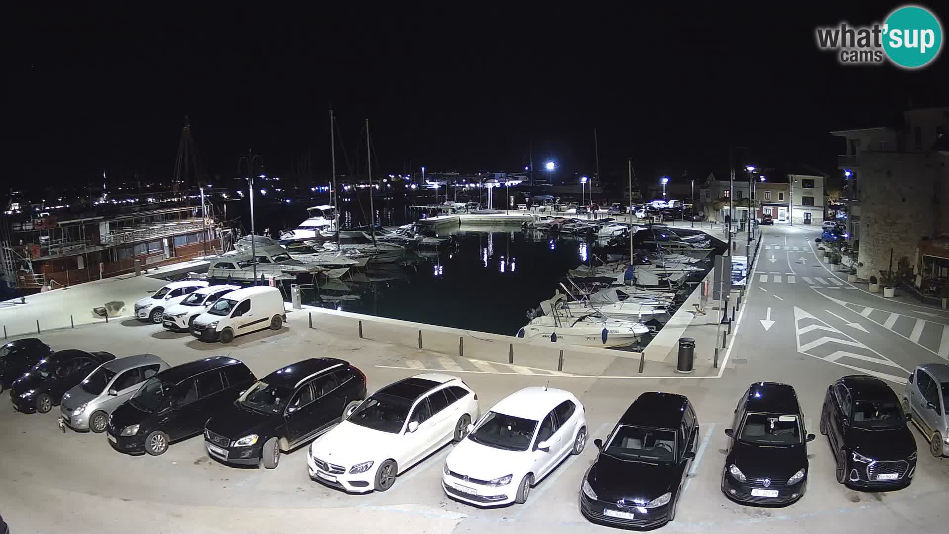 Novigrad | Porporela marina