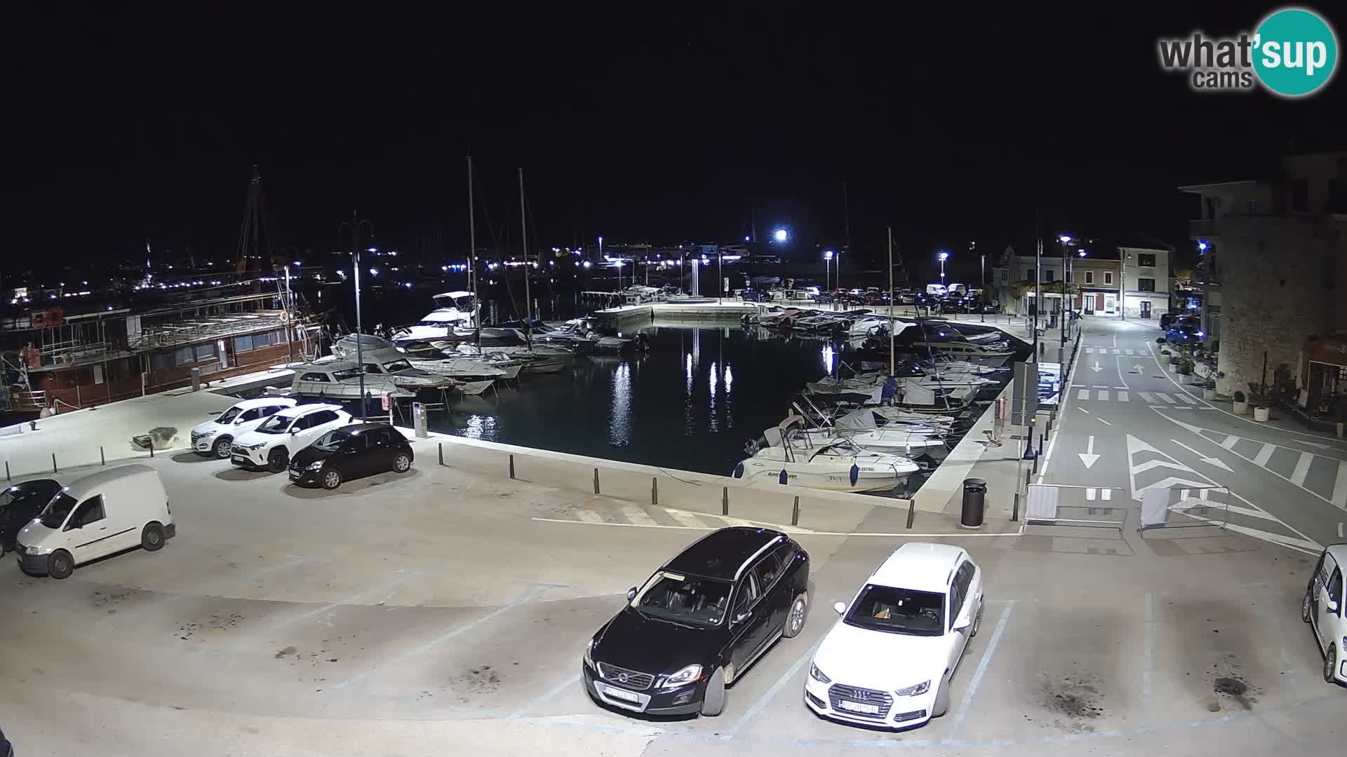 Novigrad | Porporela marina