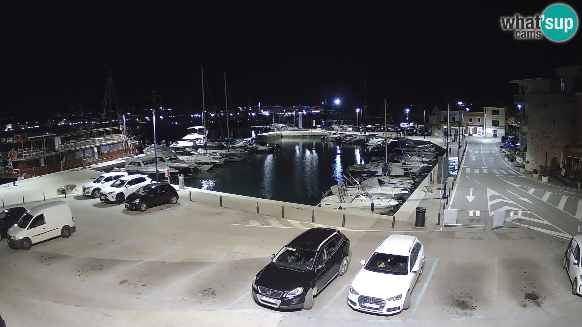 Novigrad | Porporela marina