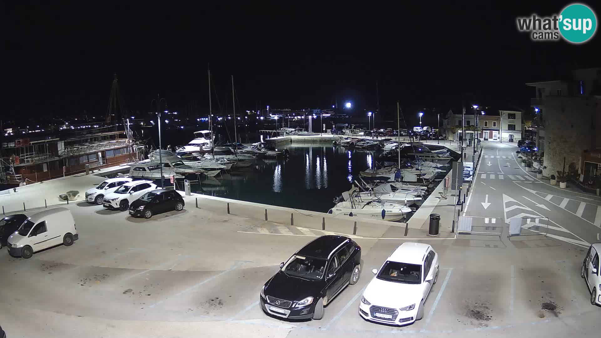 Novigrad | Porporela marina