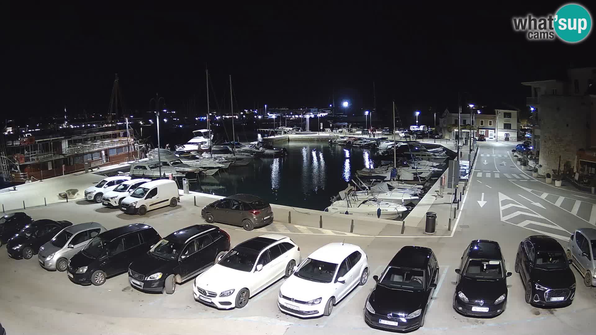 Novigrad | Porporela marina