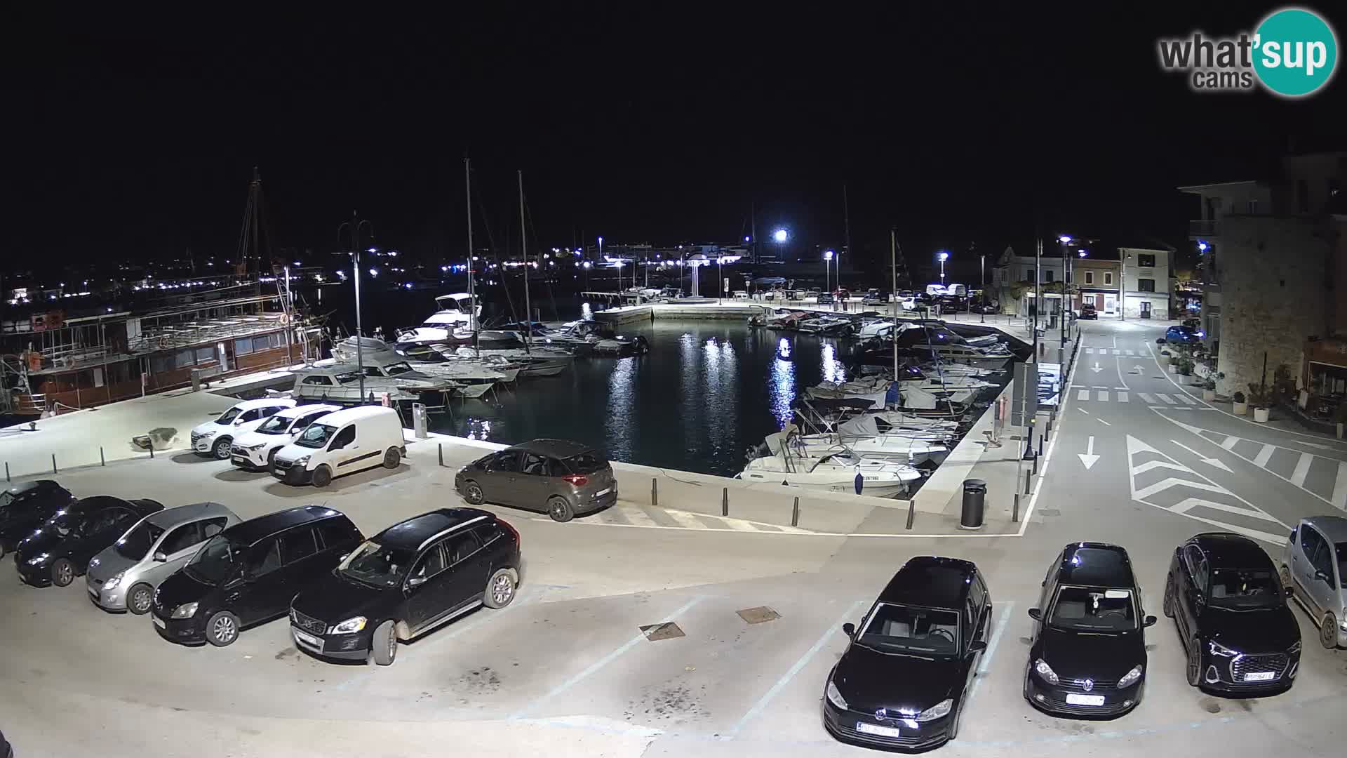Novigrad | Porporela marina