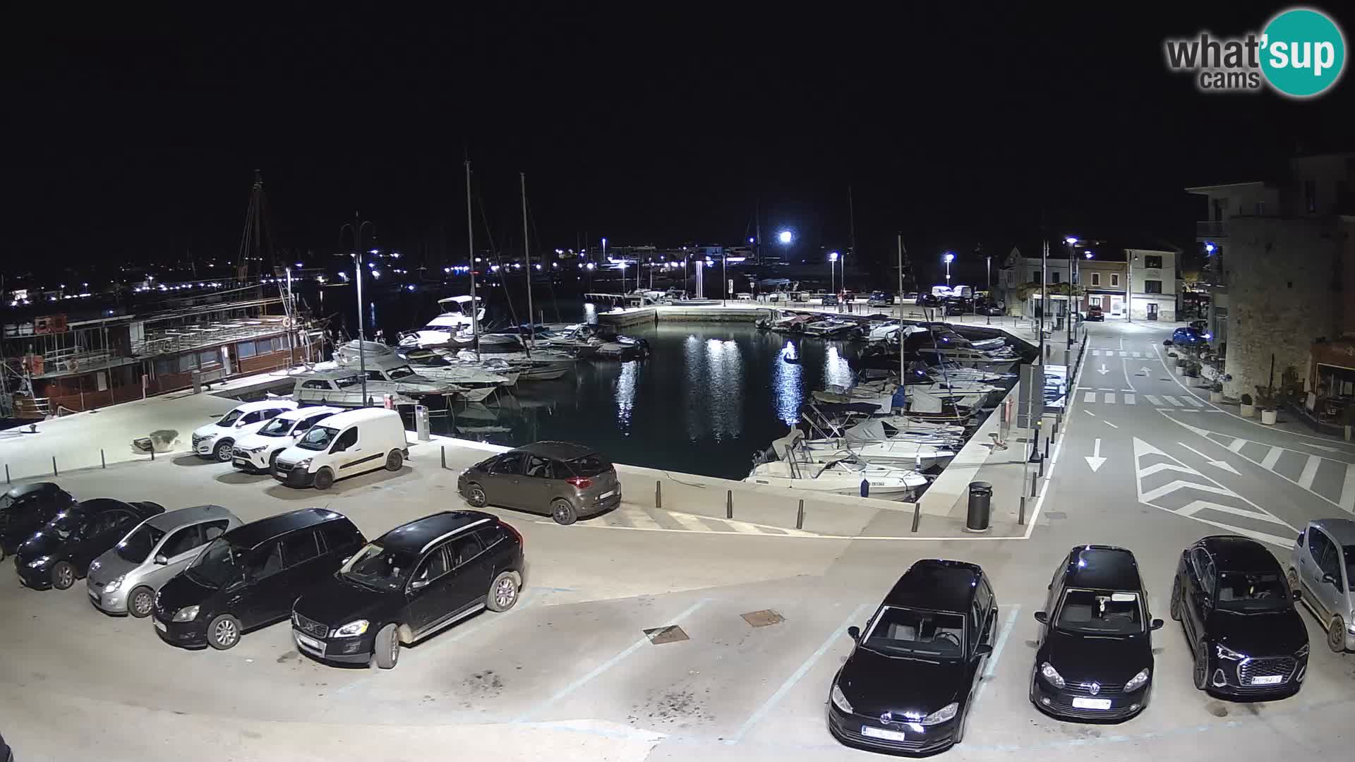 Novigrad | Porporela marina
