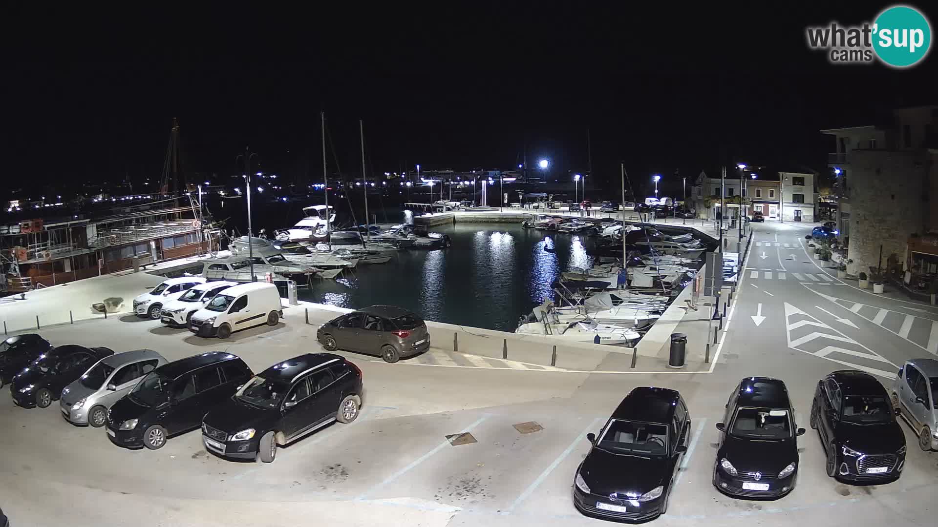 Novigrad | Porporela marina
