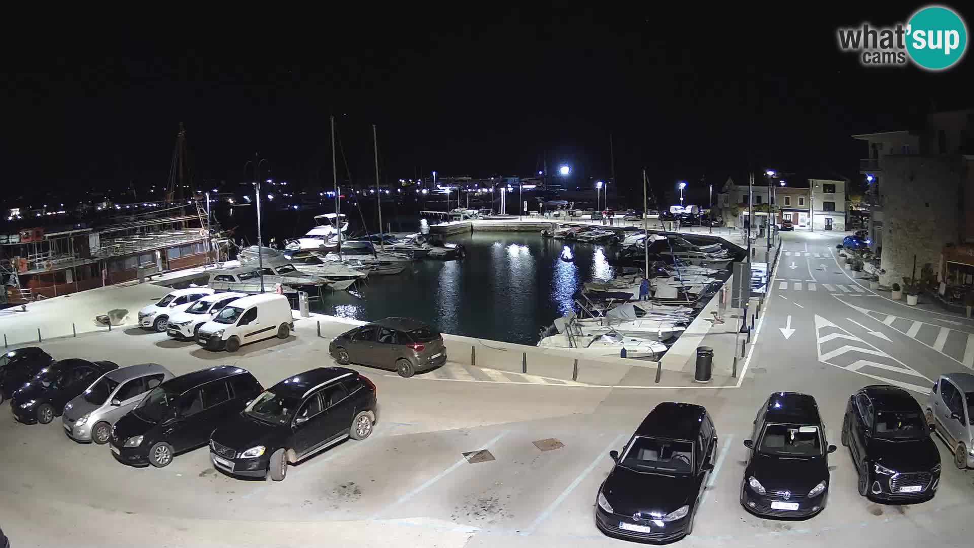 Novigrad | Porporela marina
