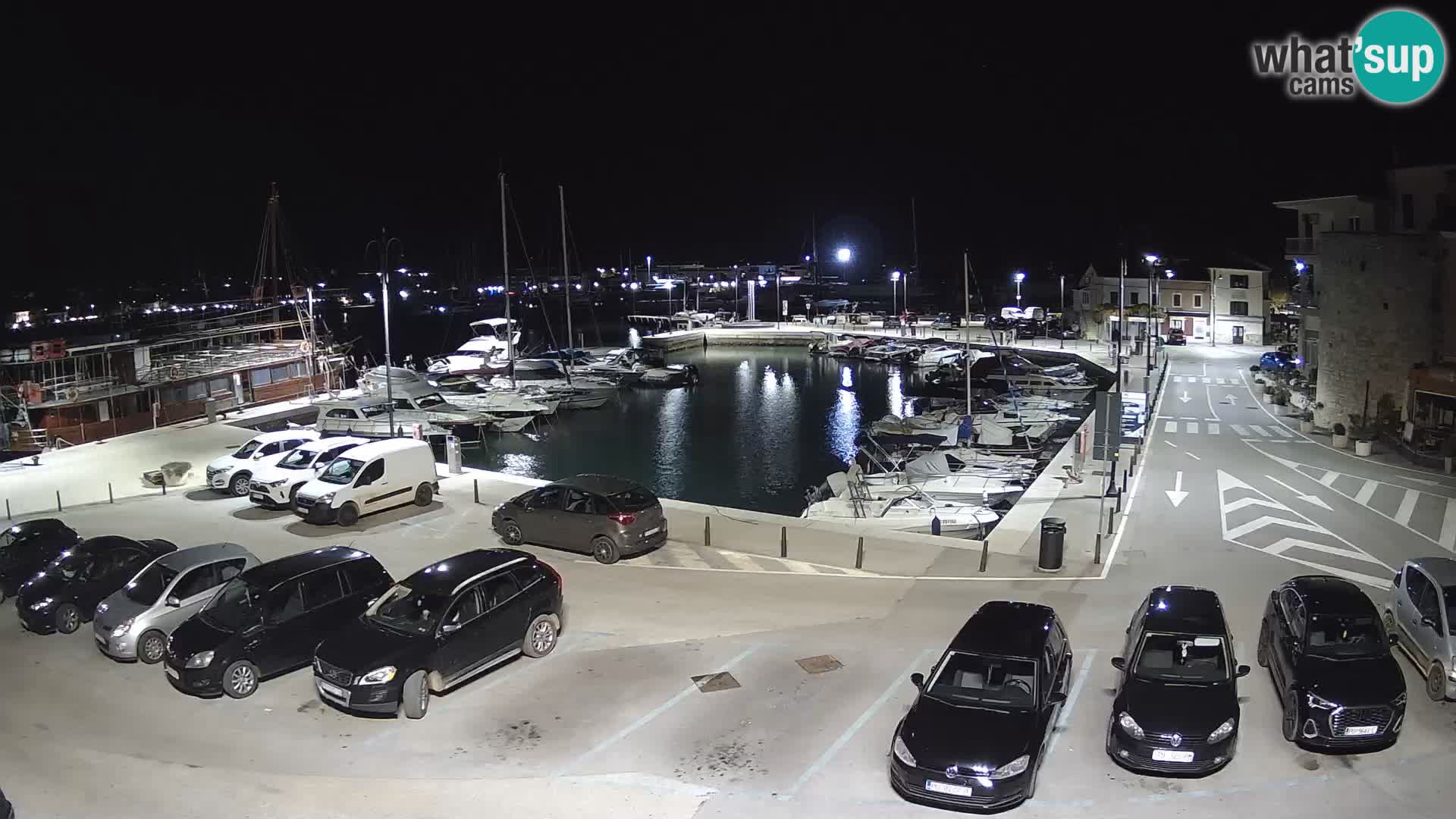 Novigrad | Porporela marina