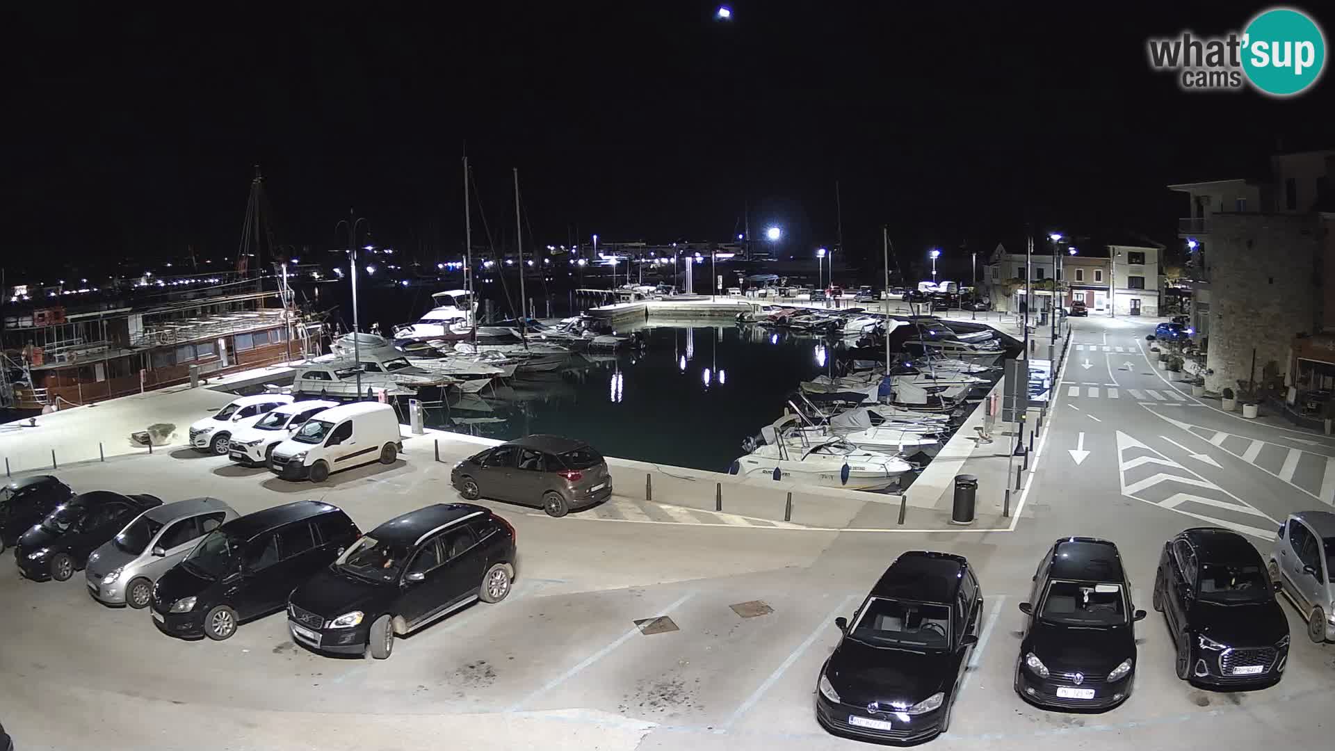 Novigrad | Porporela marina