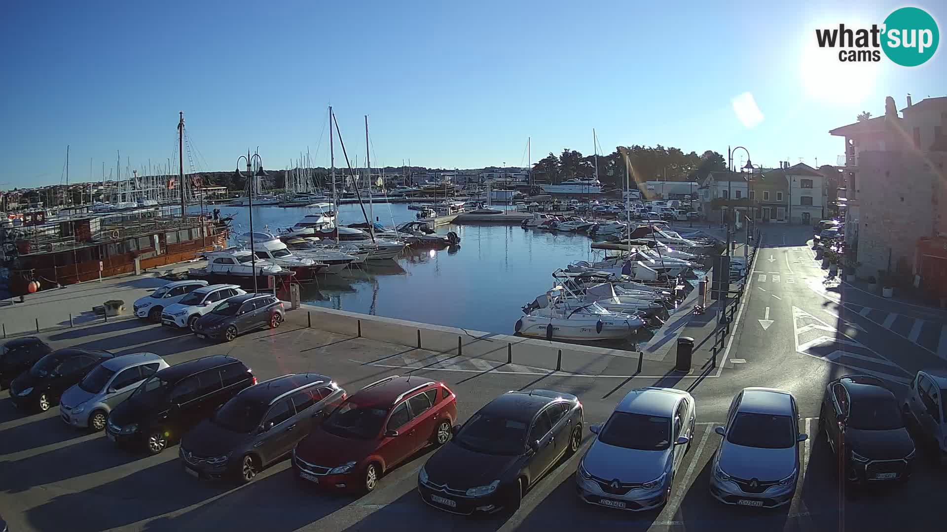 Novigrad | Porporela marina