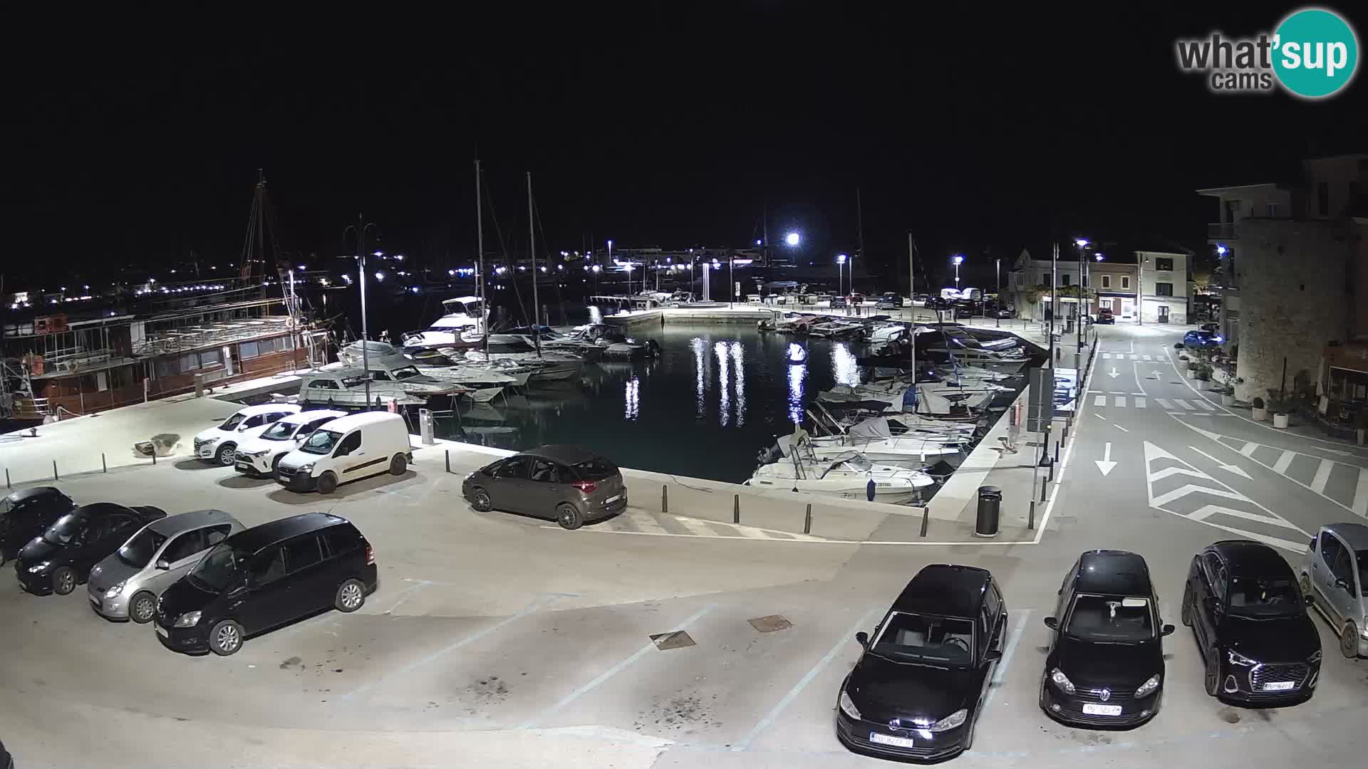 Novigrad | Porporela marina