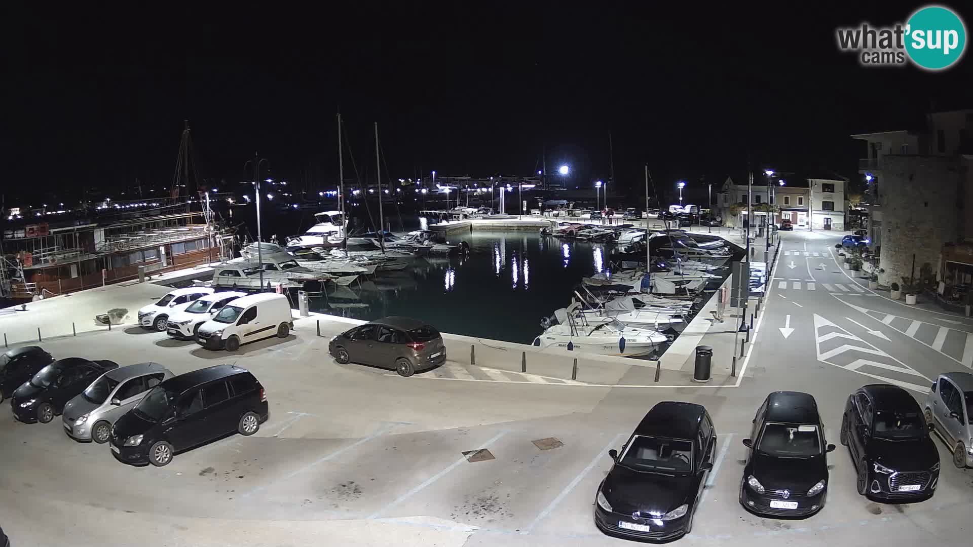 Novigrad | Porporela marina