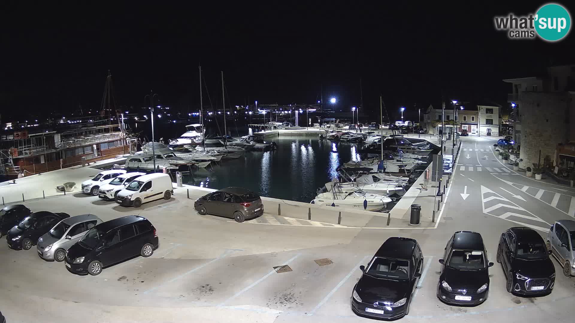 Novigrad | Porporela marina