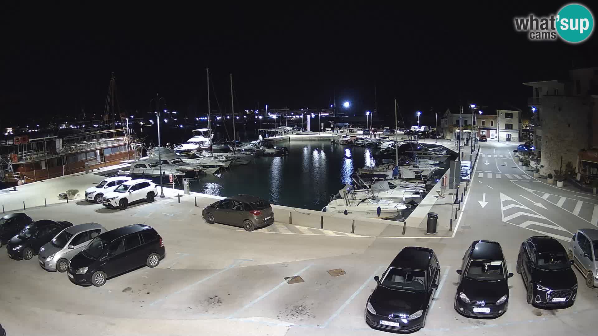 Novigrad | Porporela marina