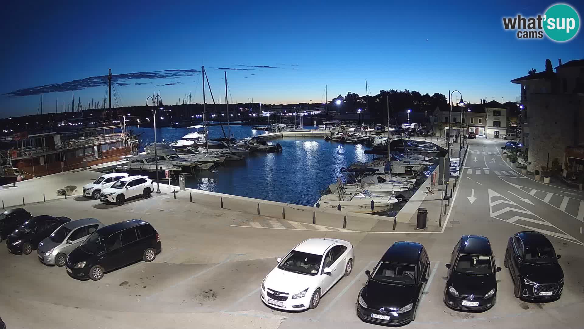 Novigrad | Porporela marina