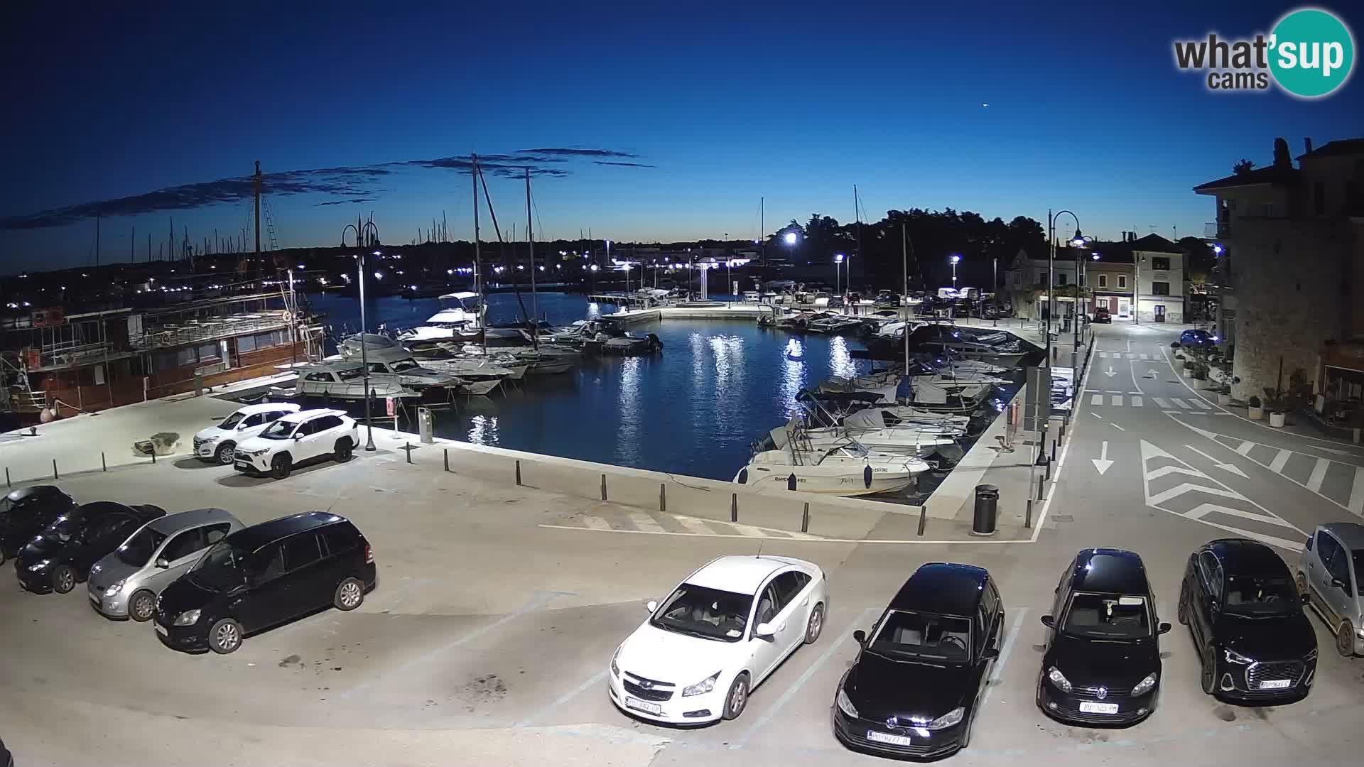 Novigrad | Porporela marina