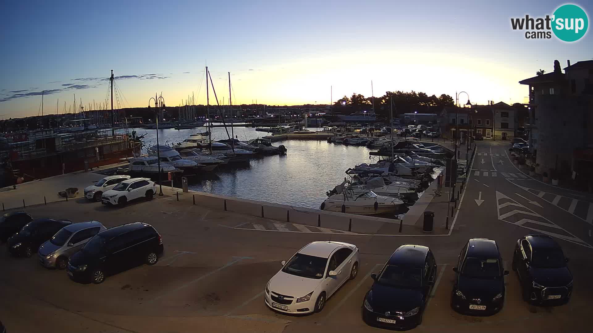 Novigrad | Porporela marina
