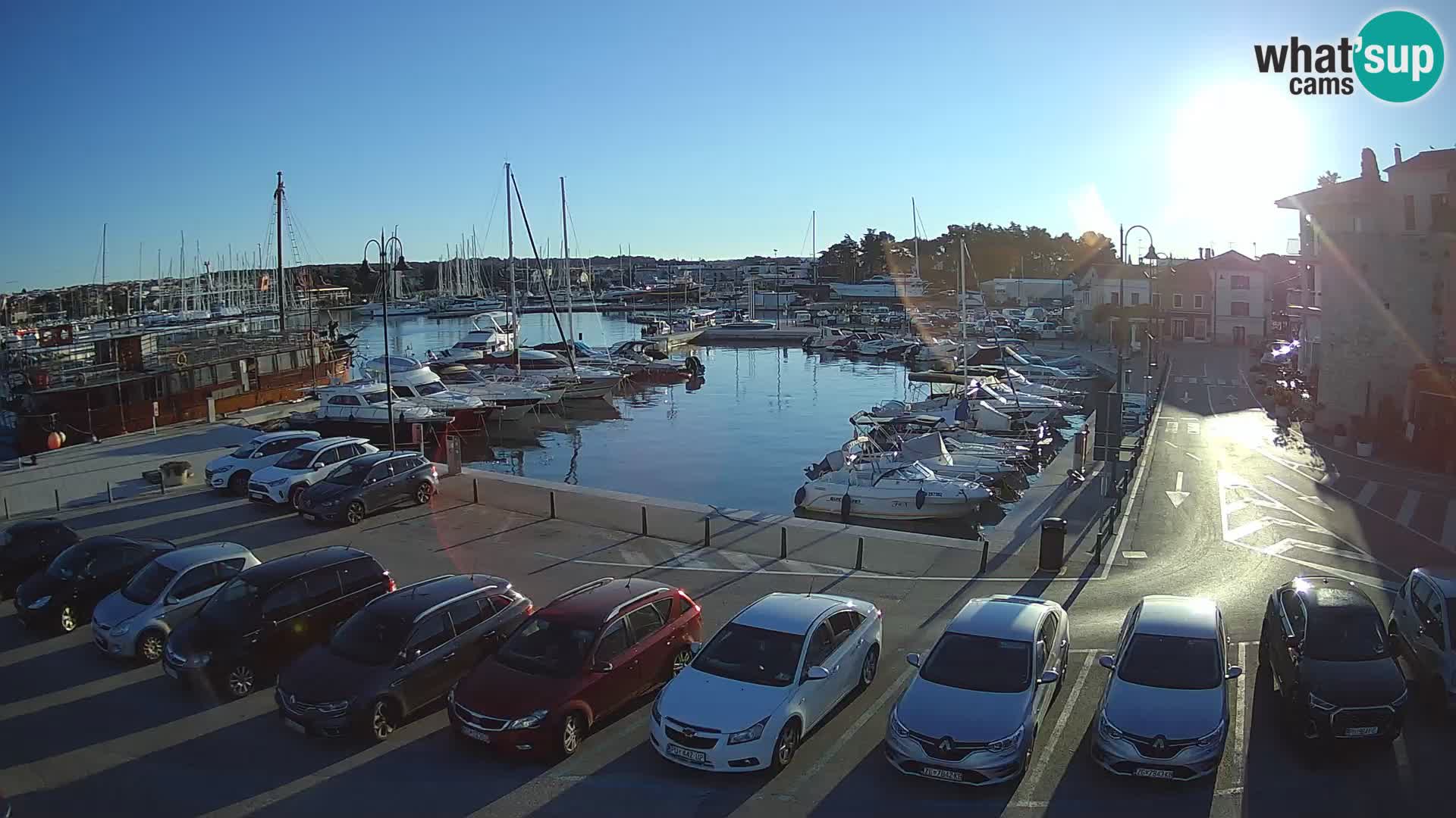 Novigrad | Porporela marina