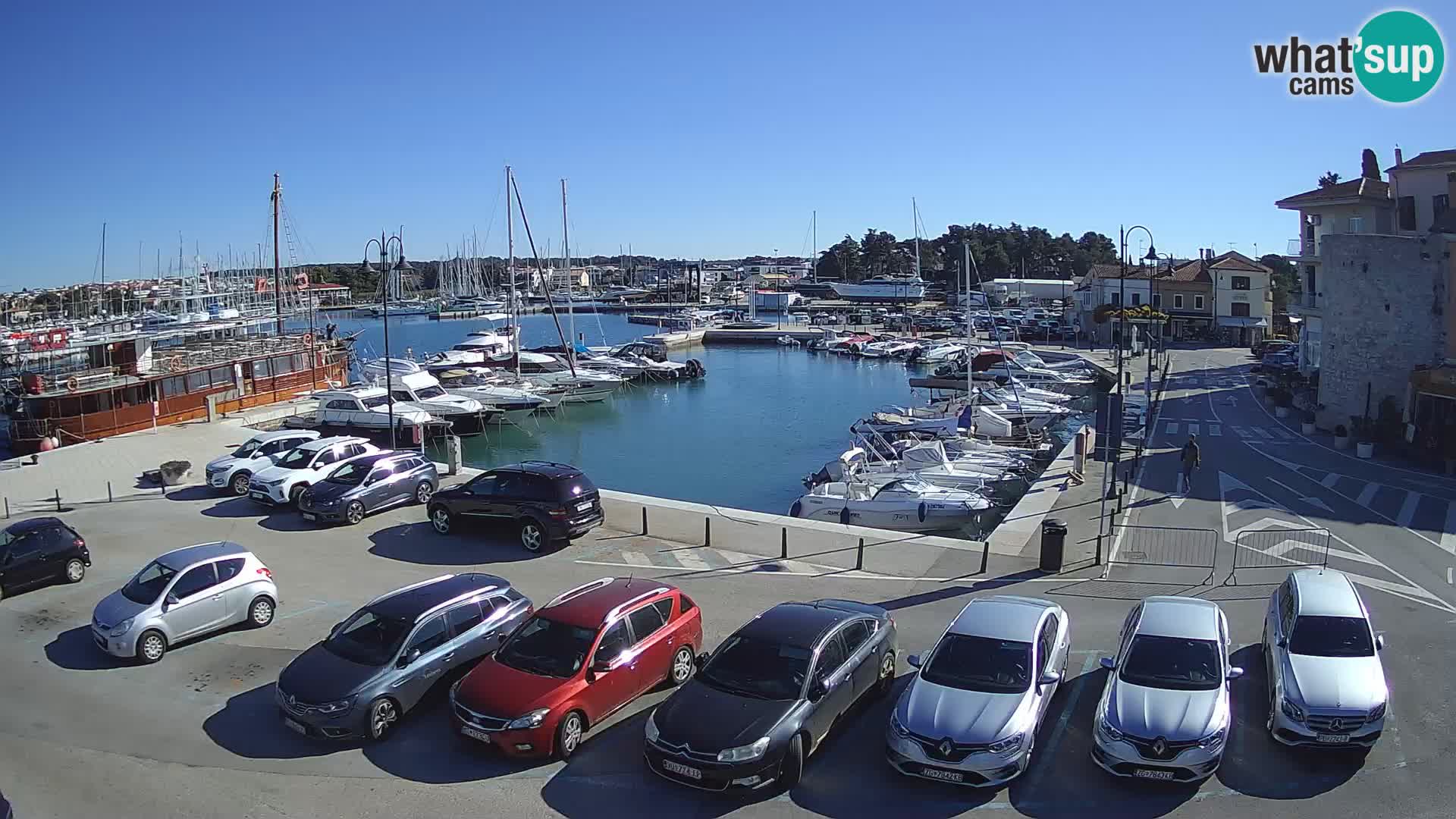 Novigrad | Porporela marina
