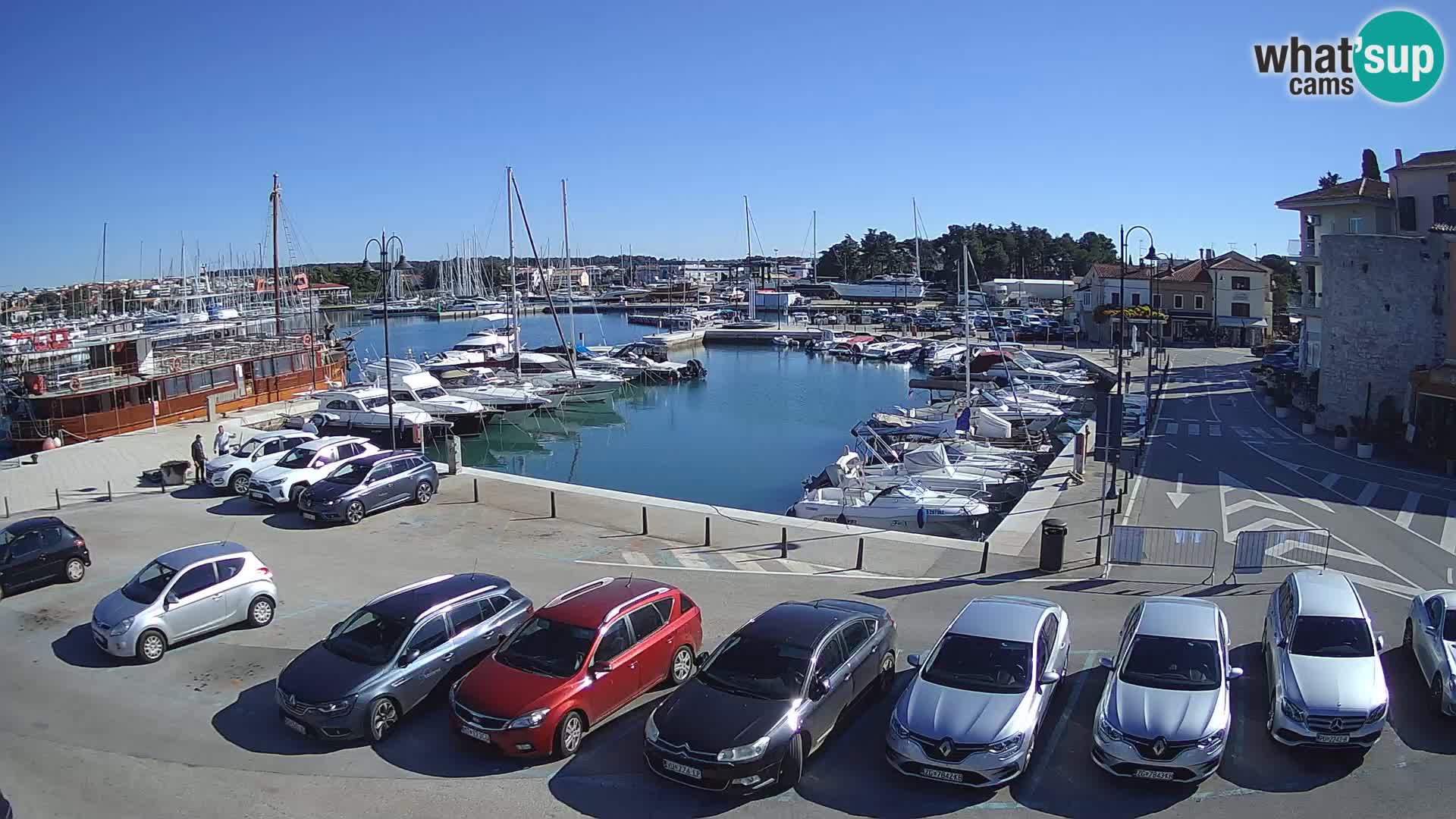 Novigrad | Porporela marina