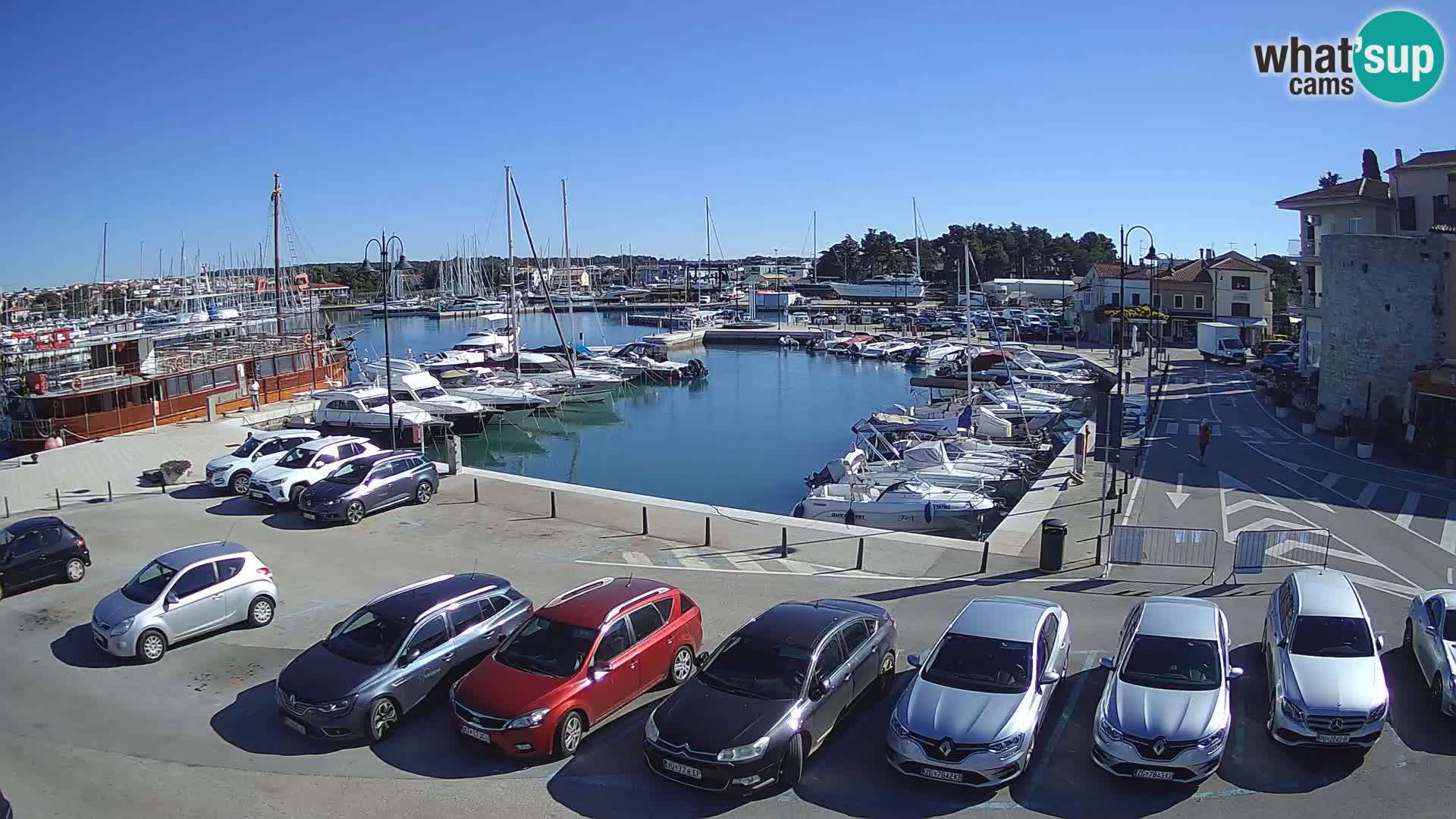 Novigrad | Porporela marina