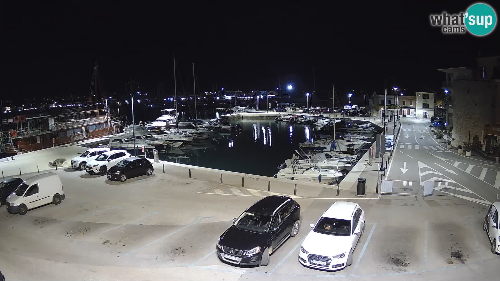 Novigrad | Porporela marina