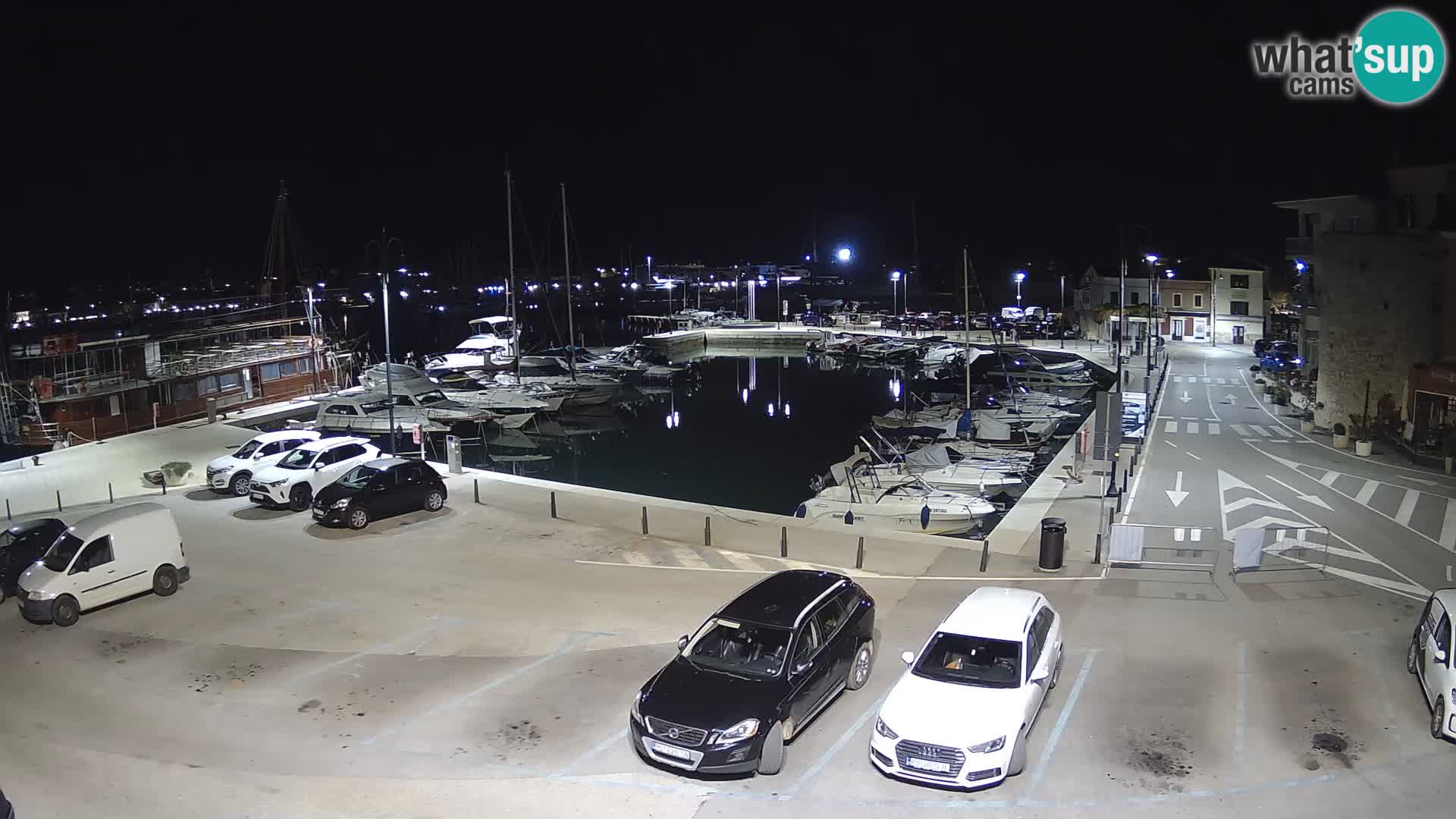 Novigrad | Porporela marina