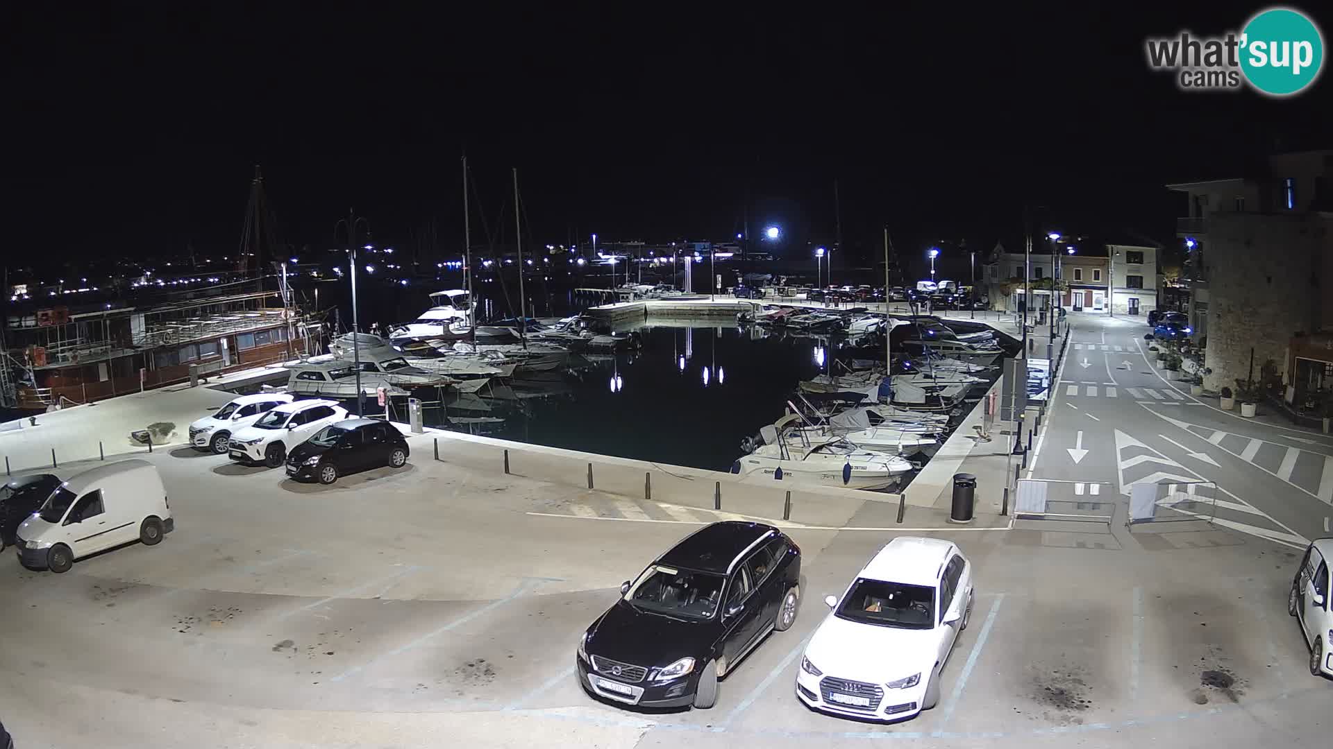 Novigrad | Porporela marina
