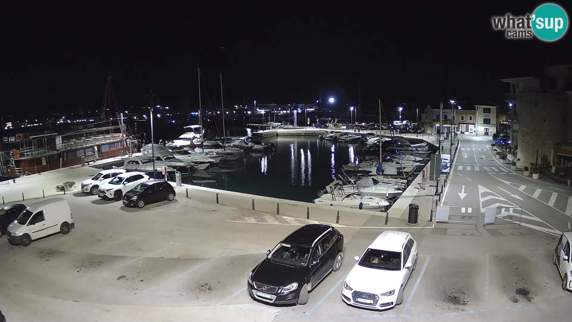 Novigrad | Porporela marina