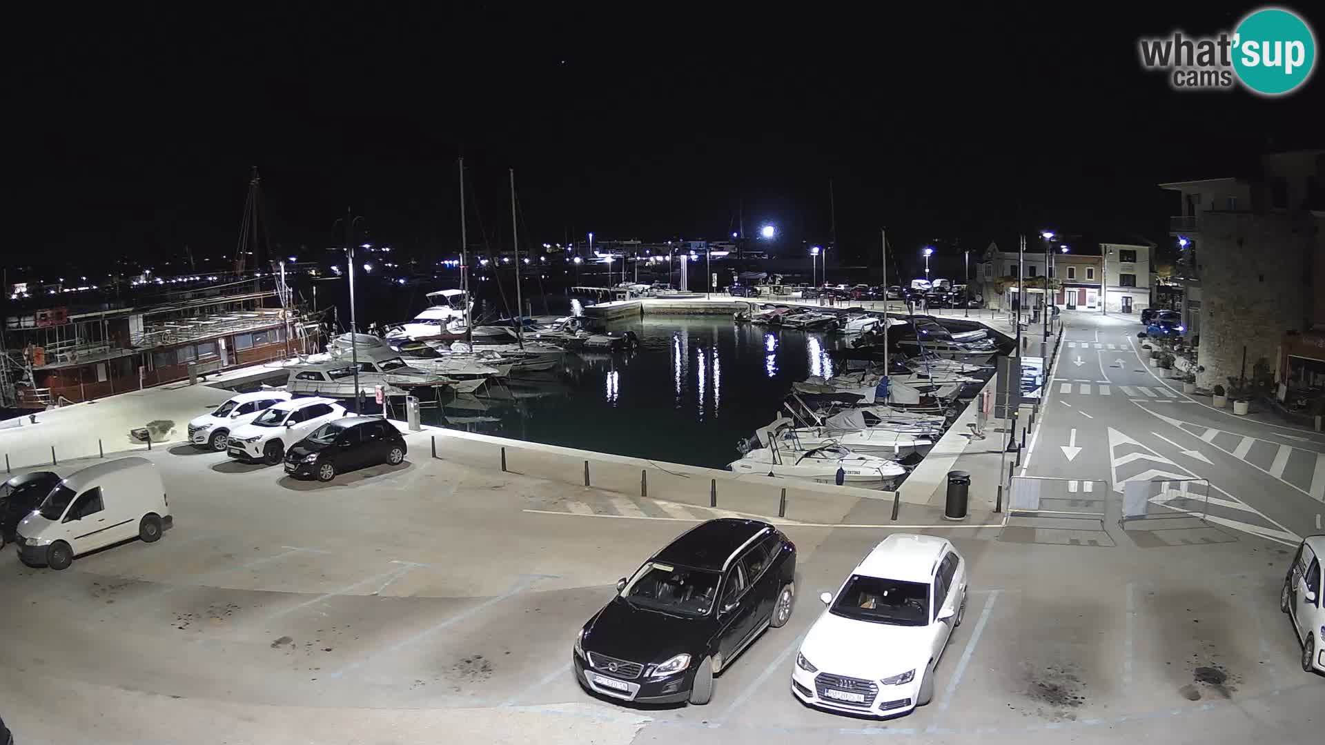 Novigrad | Porporela marina