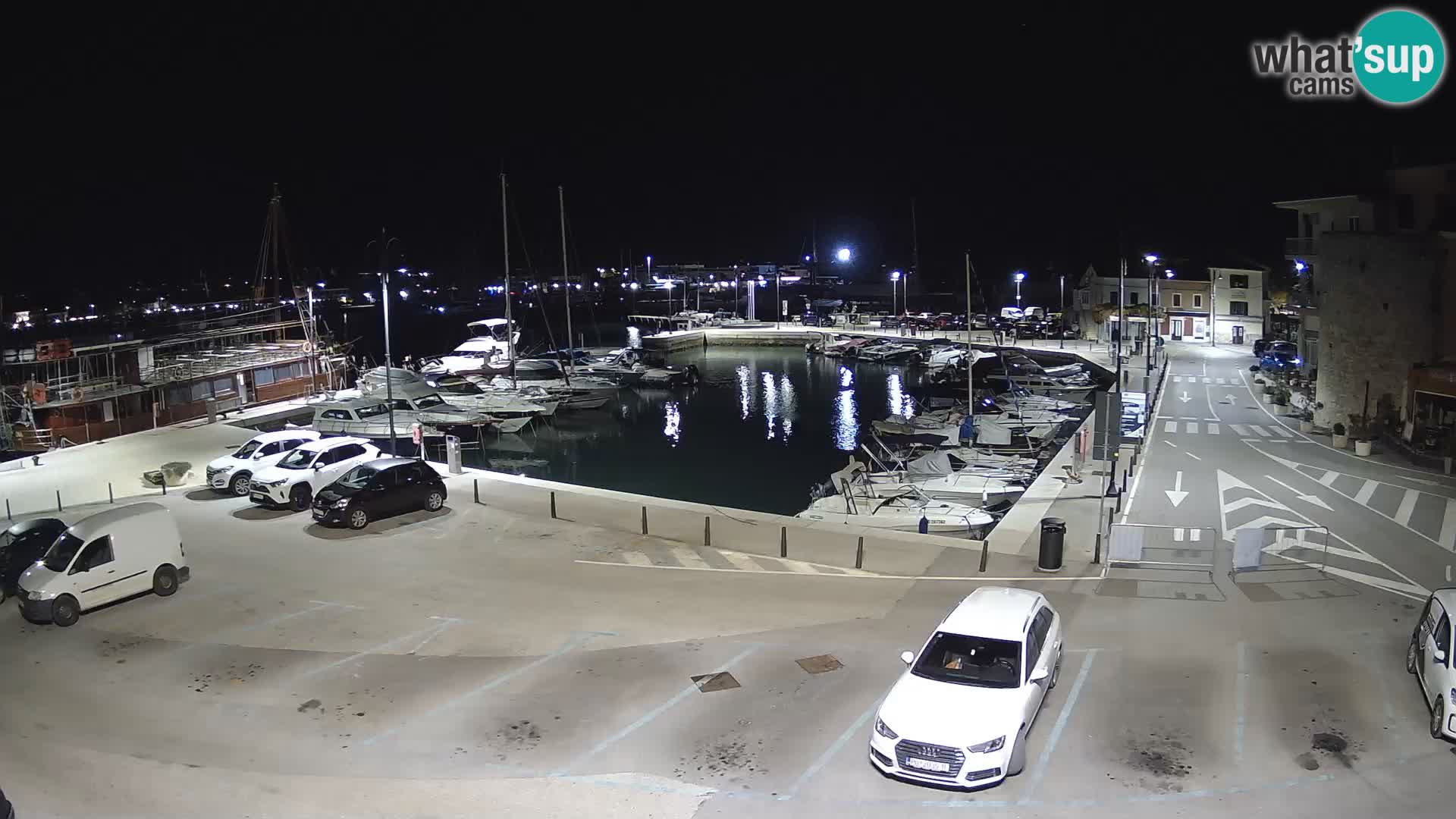 Novigrad | Porporela marina