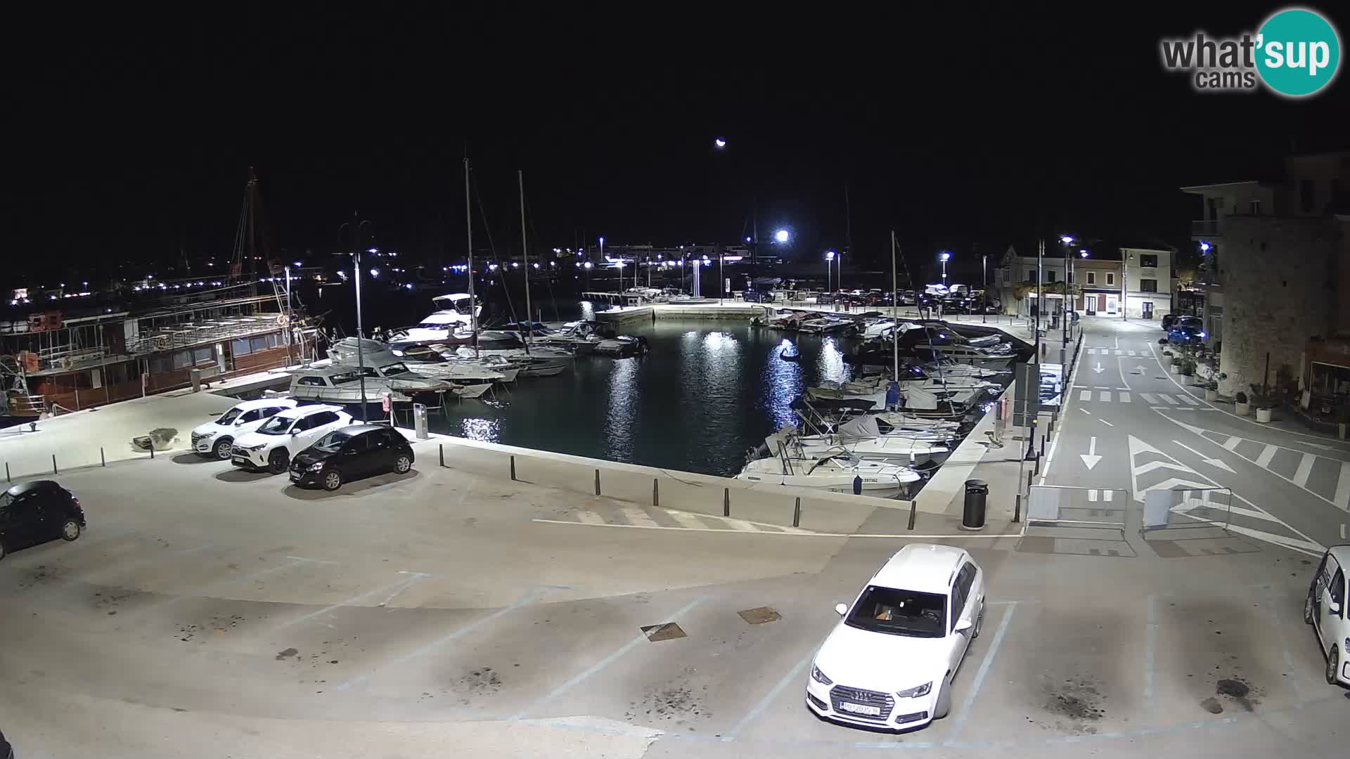 Novigrad | Porporela marina