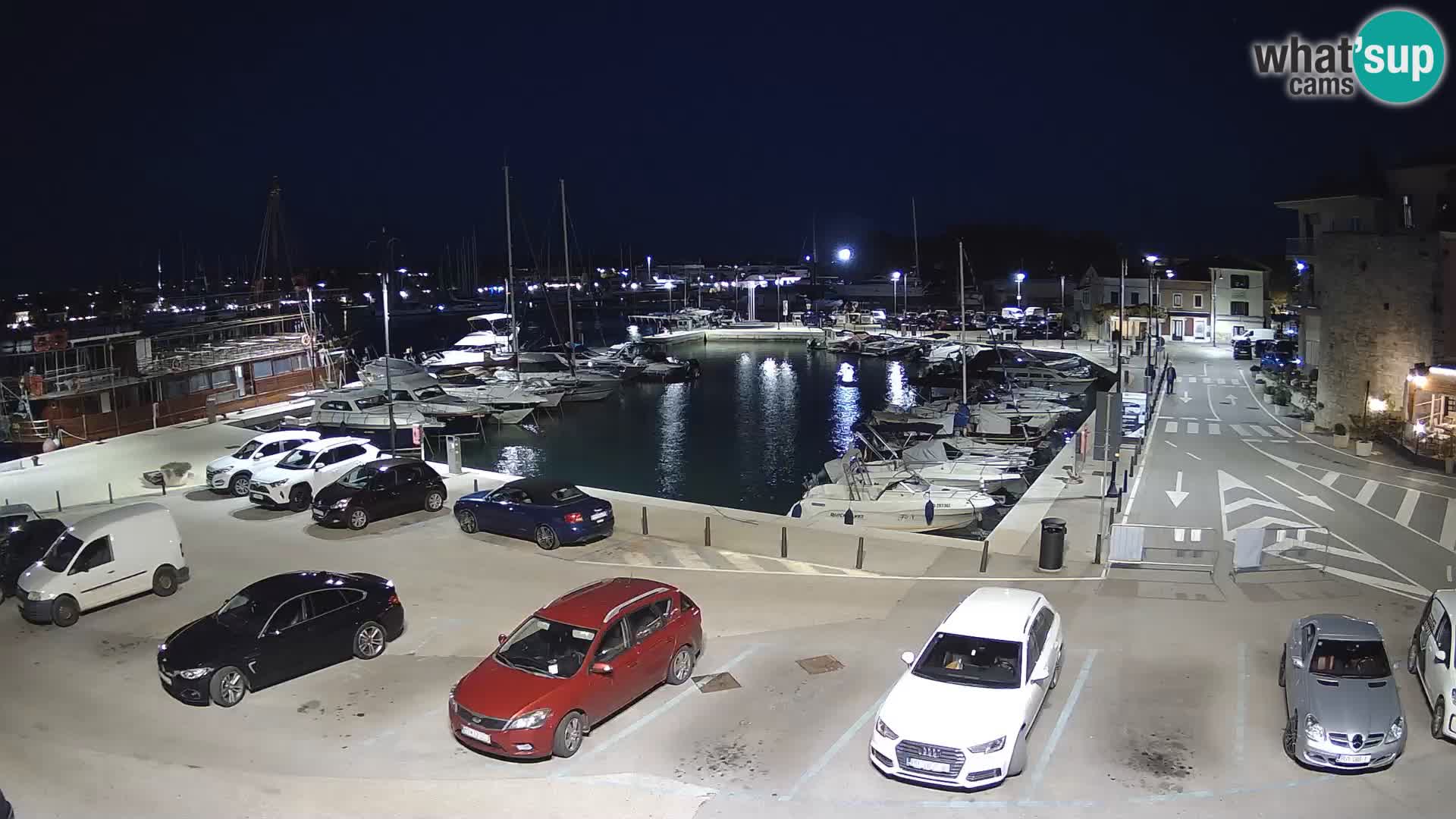 Novigrad | Porporela marina