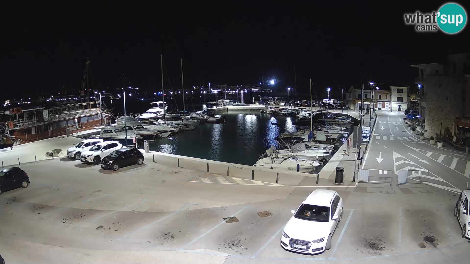 Novigrad | Porporela marina