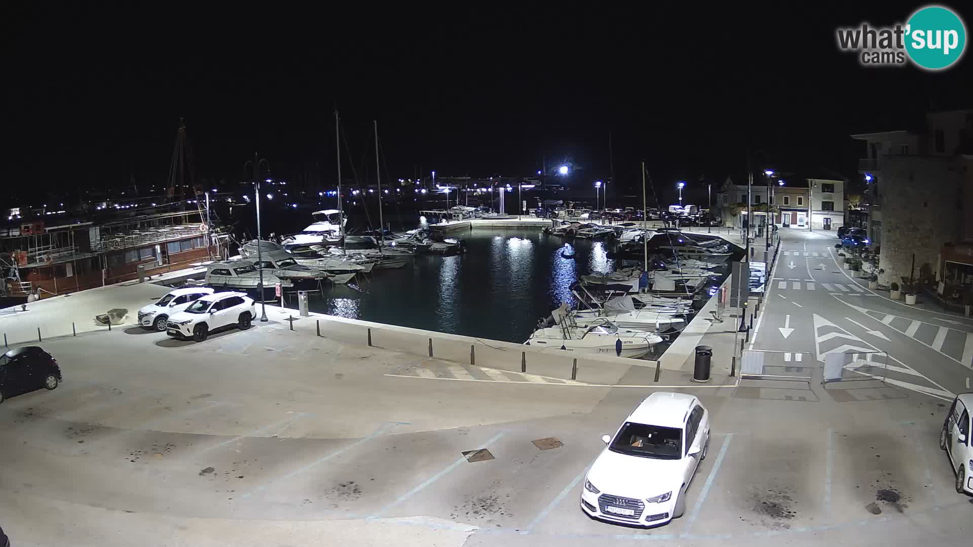 Novigrad | Porporela marina