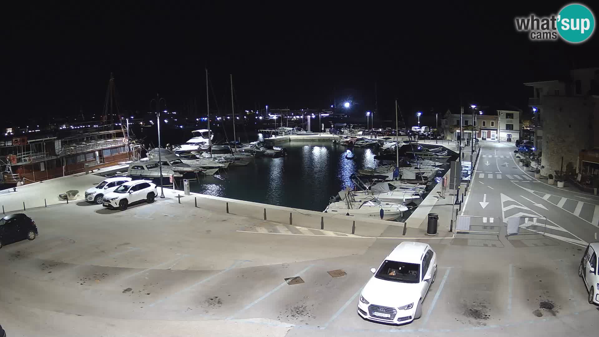 Novigrad | Porporela marina