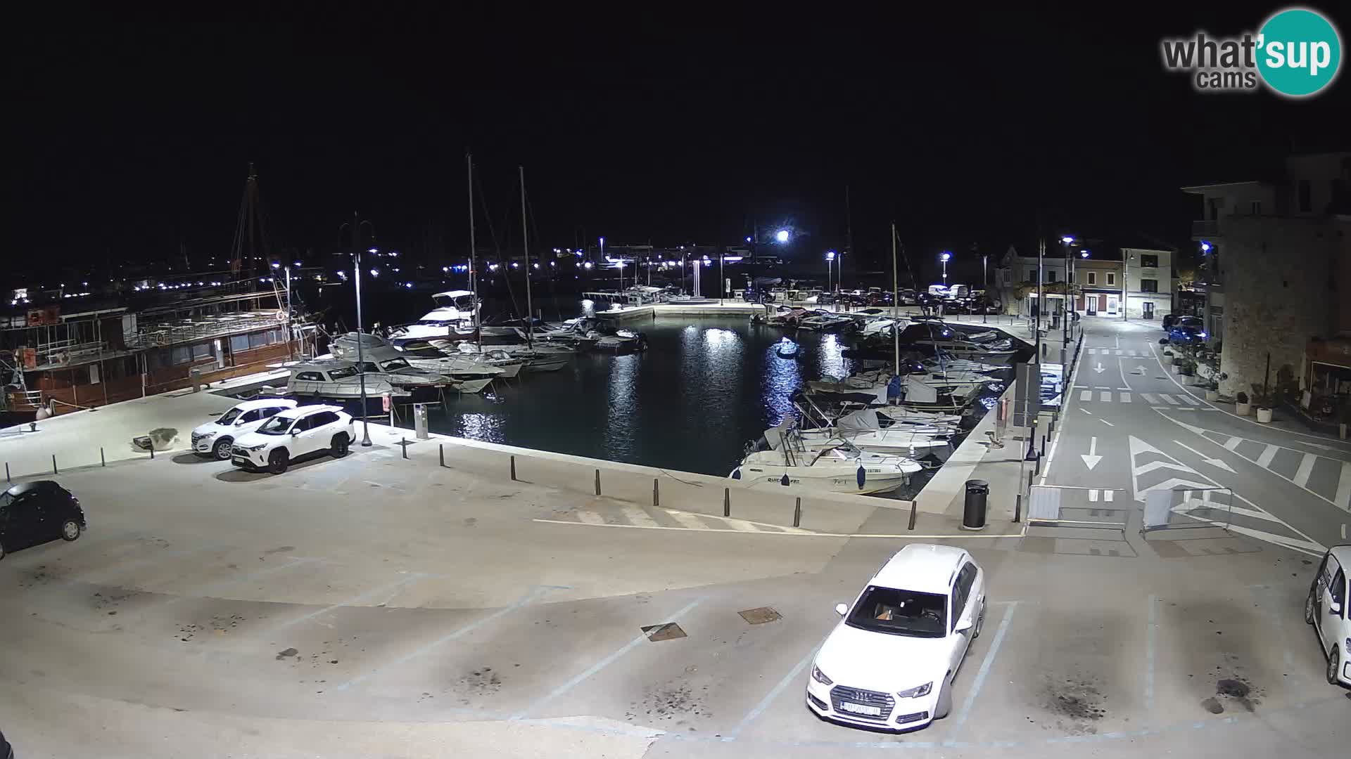 Novigrad | Porporela marina