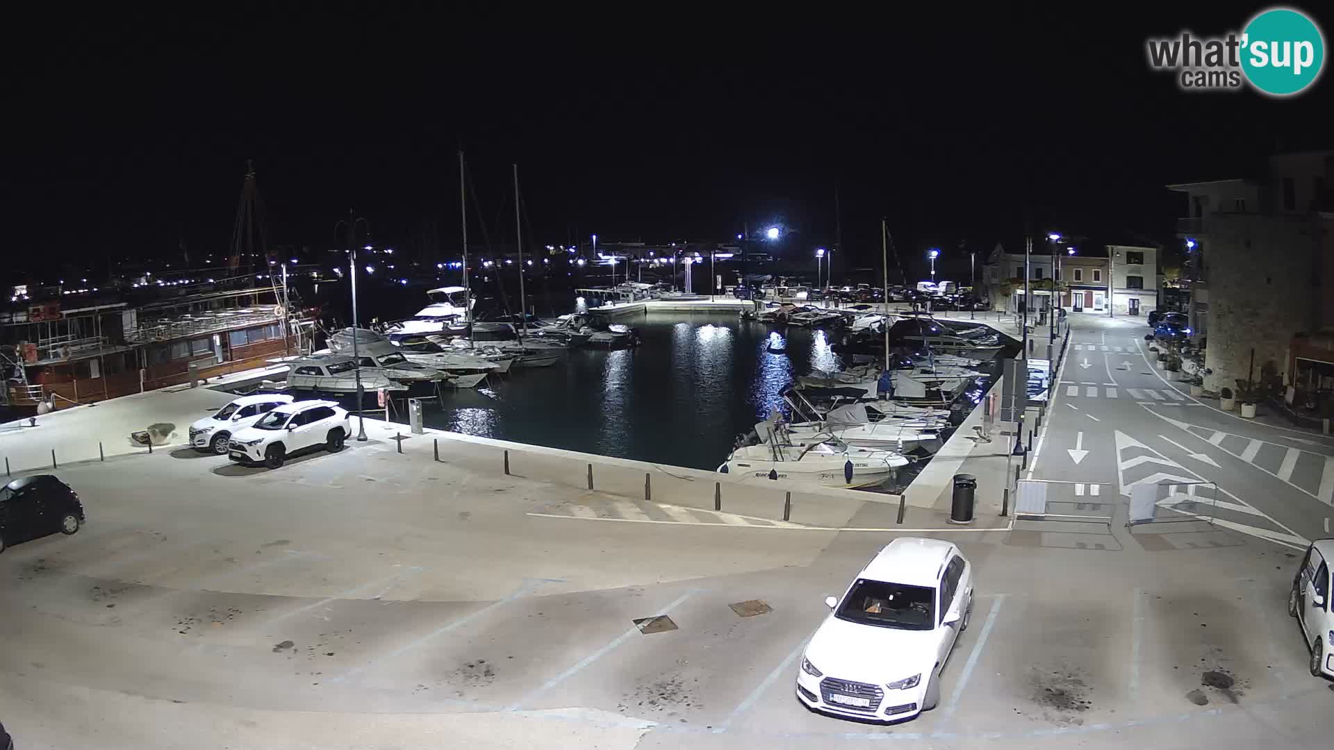 Novigrad | Porporela marina