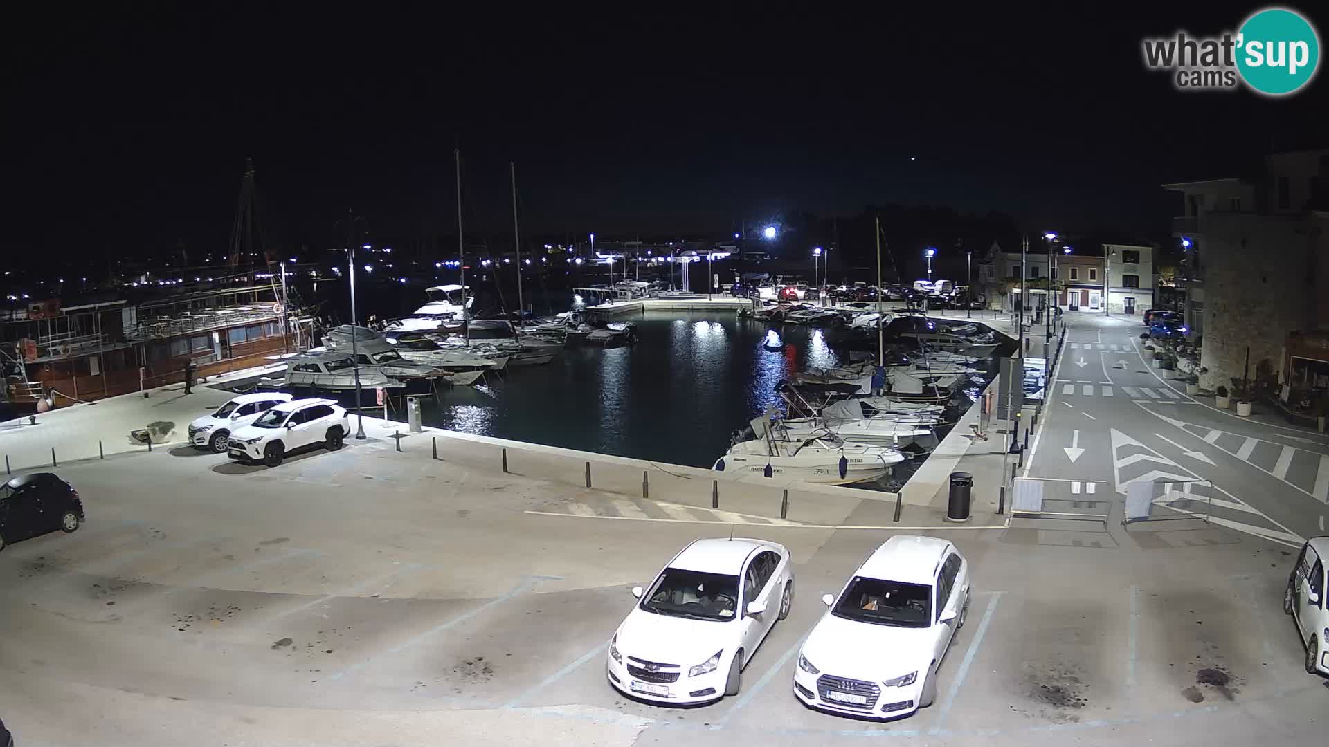 Novigrad | Porporela marina