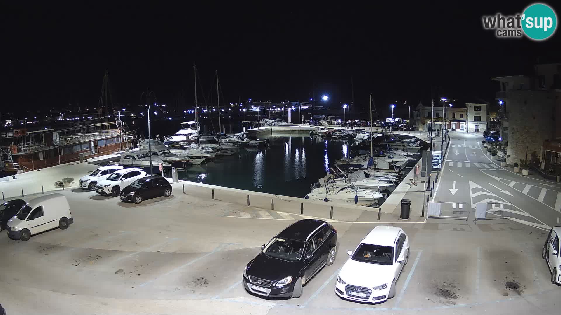 Novigrad | Porporela marina