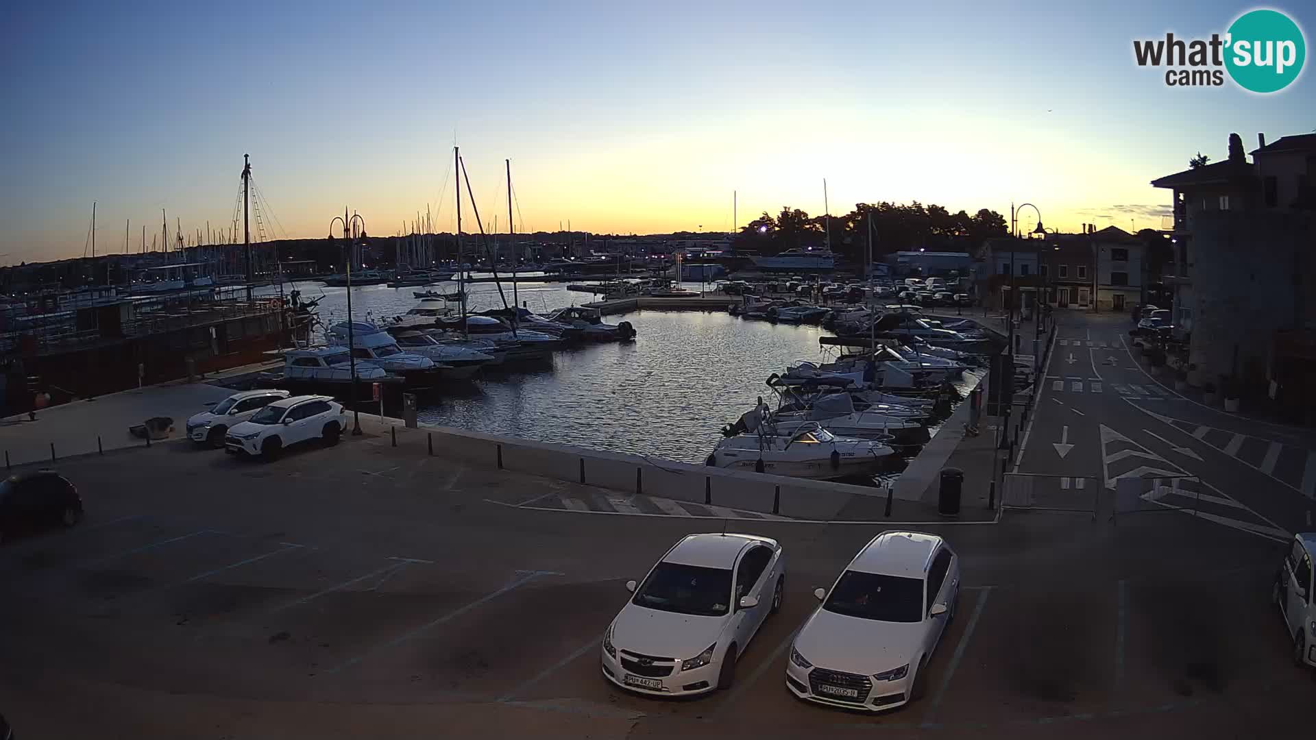Novigrad | Porporela marina