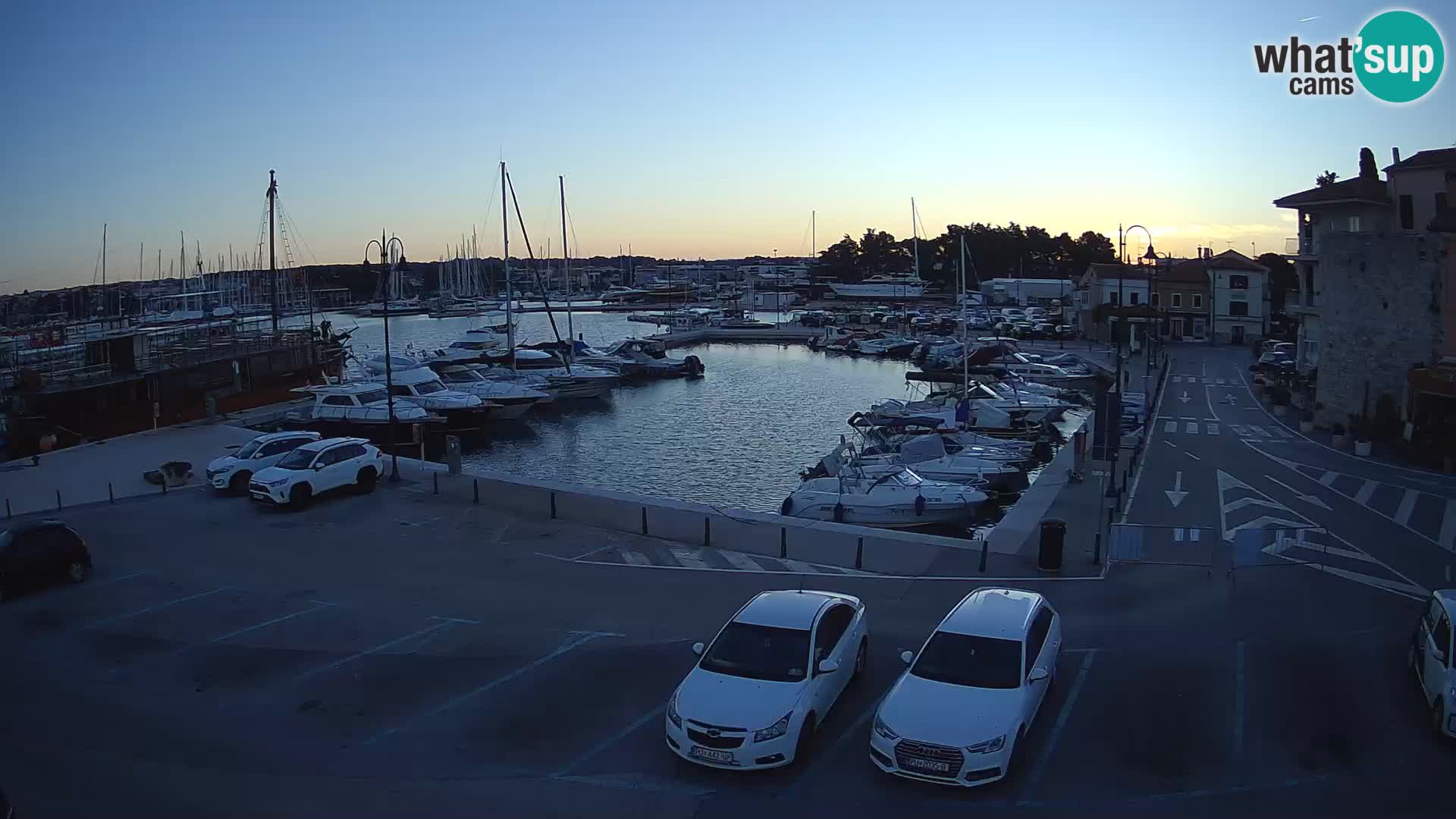 Novigrad | Porporela marina