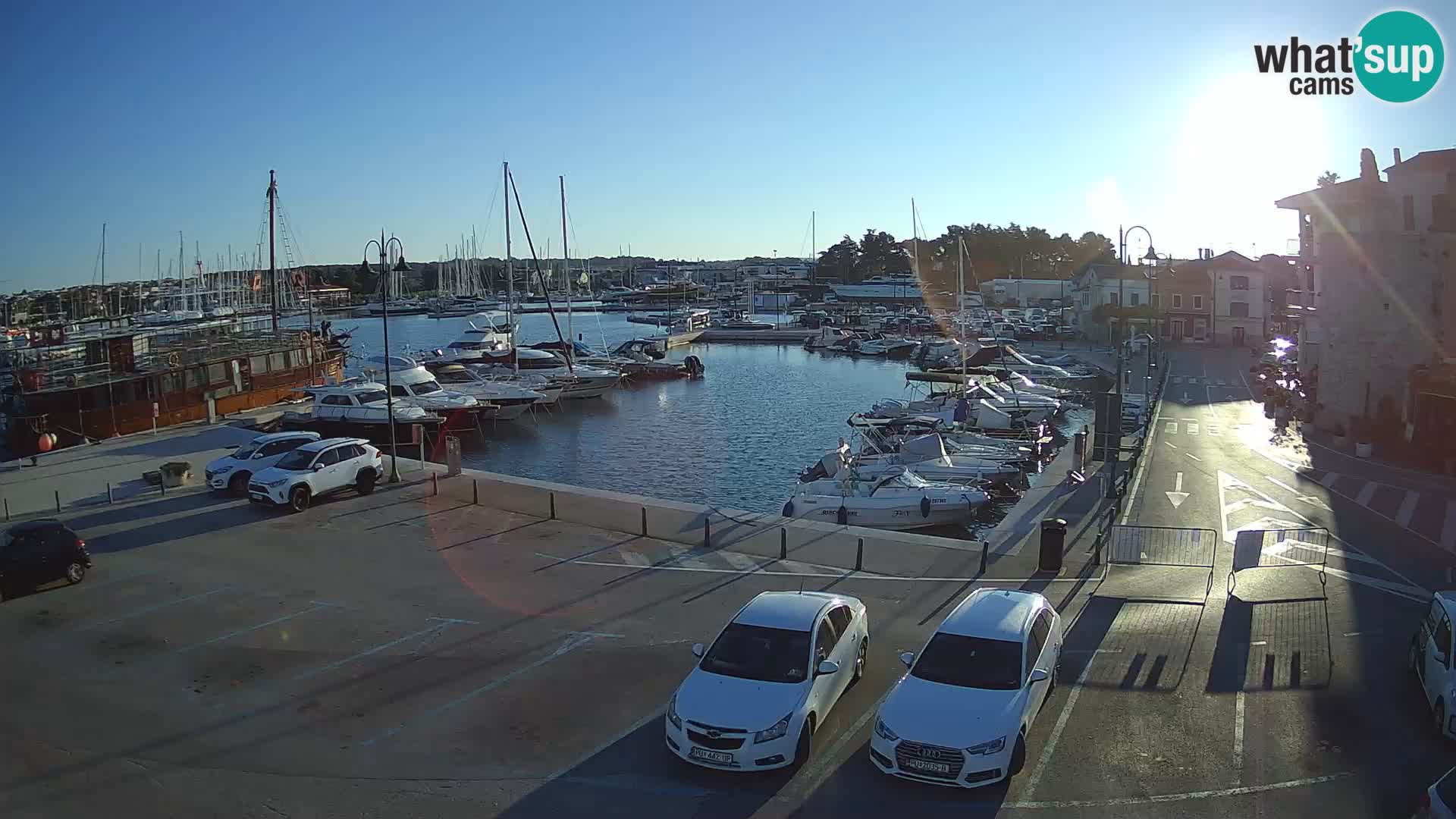 Novigrad | Porporela marina