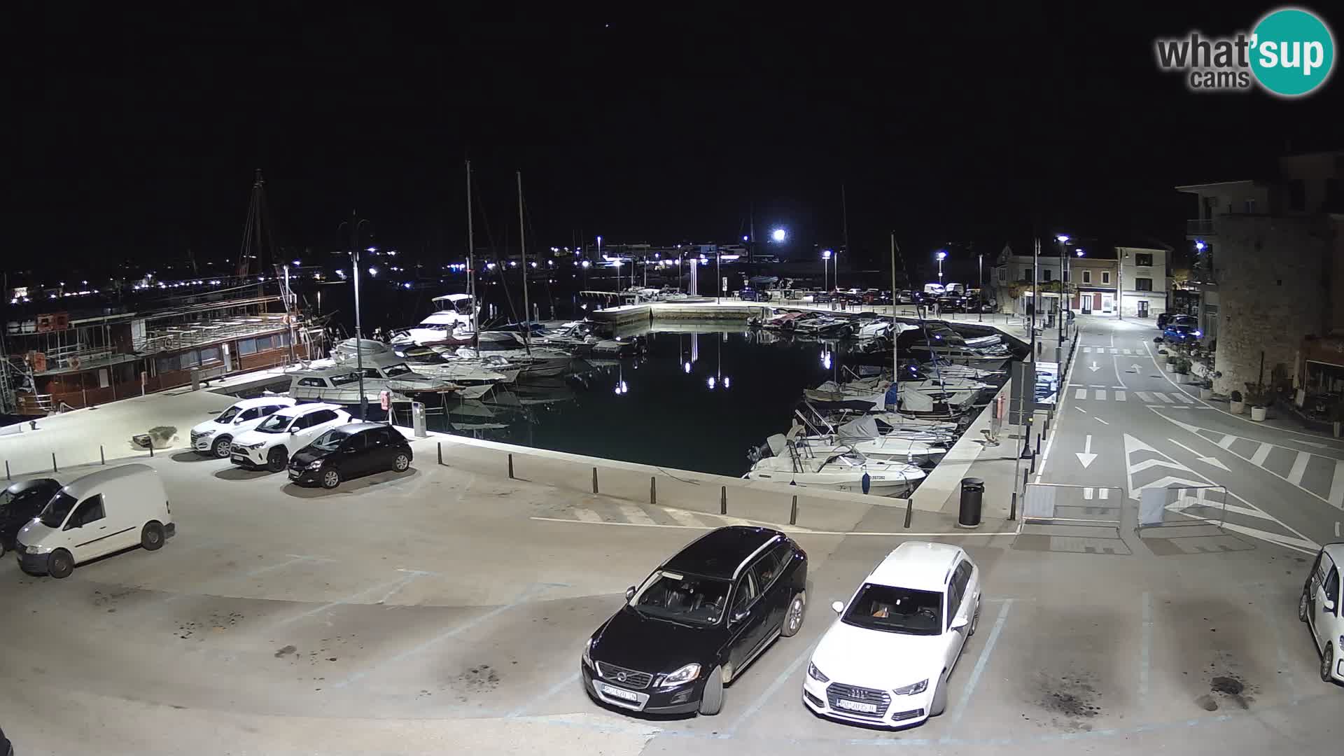 Novigrad | Porporela marina