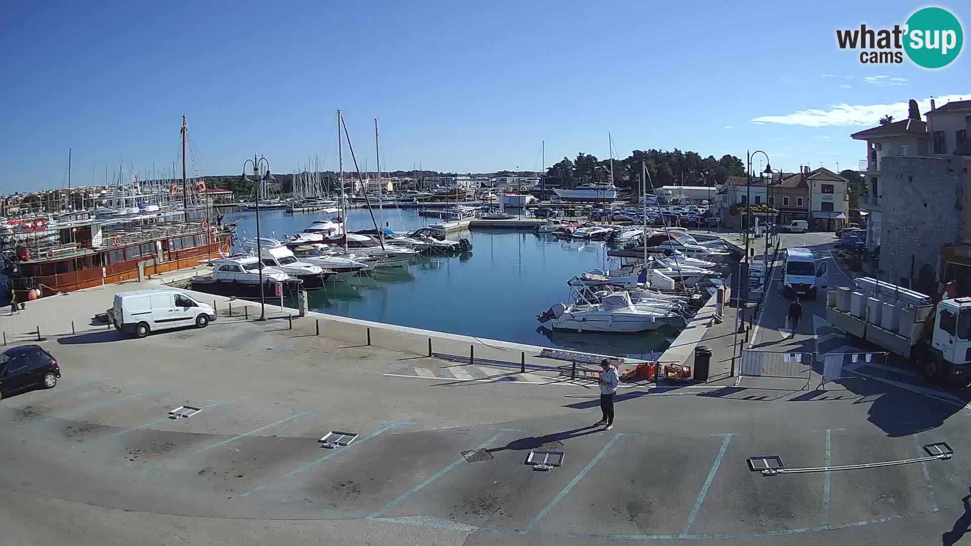 Novigrad | Porporela marina