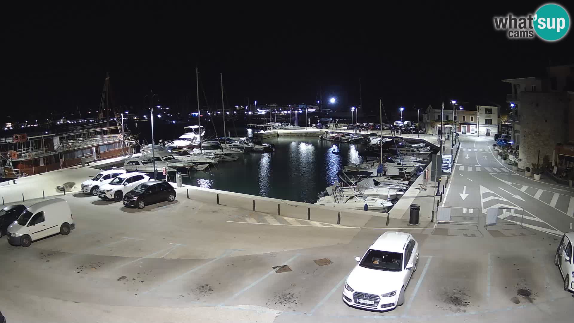 Novigrad | Porporela marina