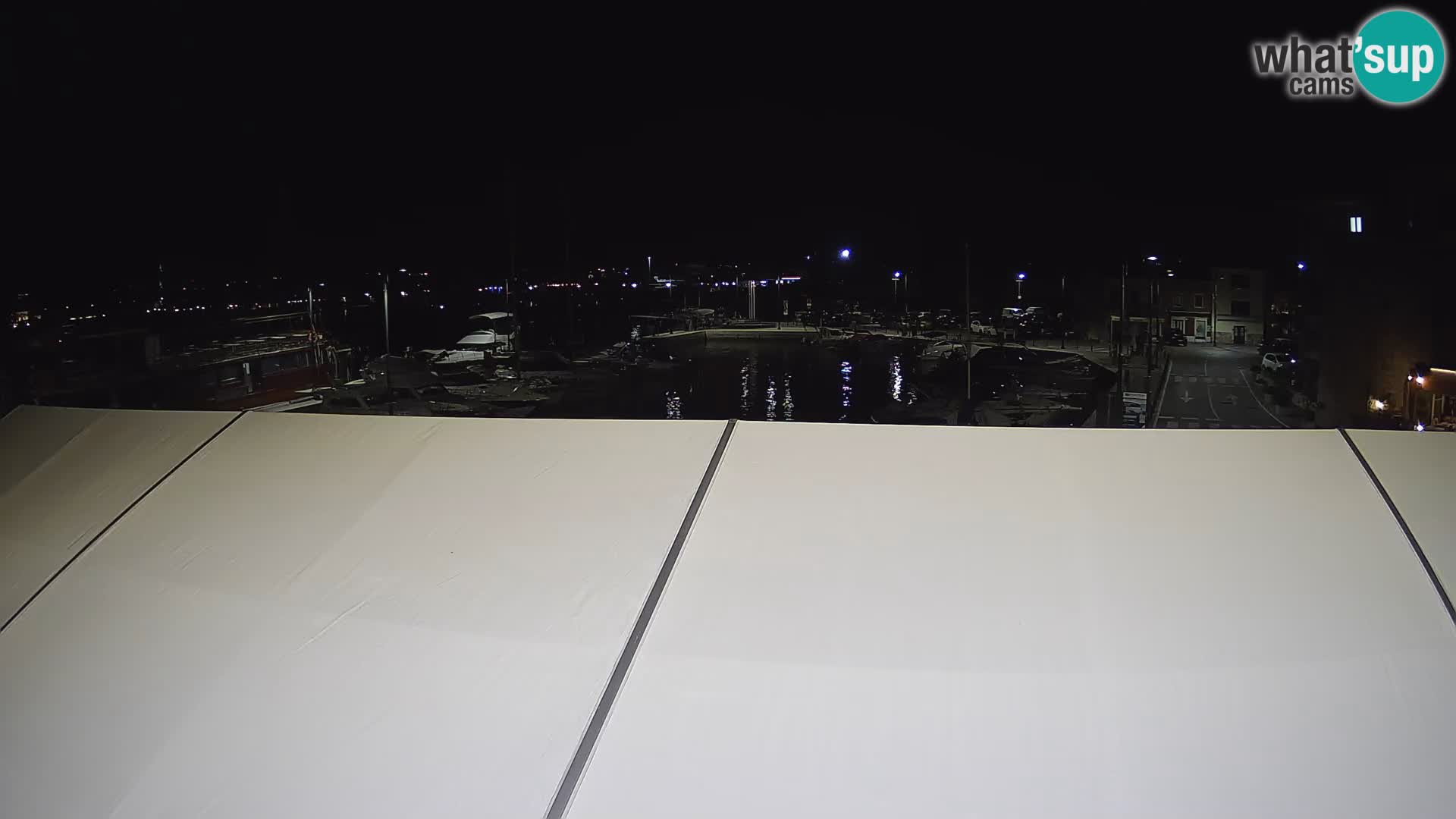 Novigrad | Porporela marina