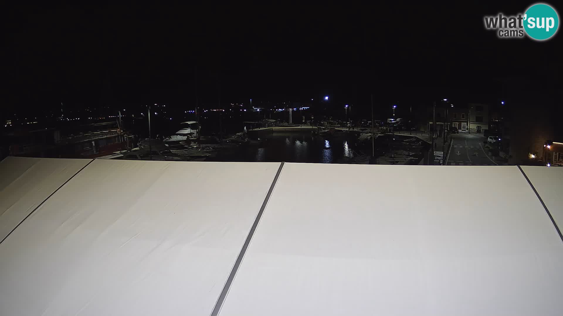 Novigrad | Porporela marina