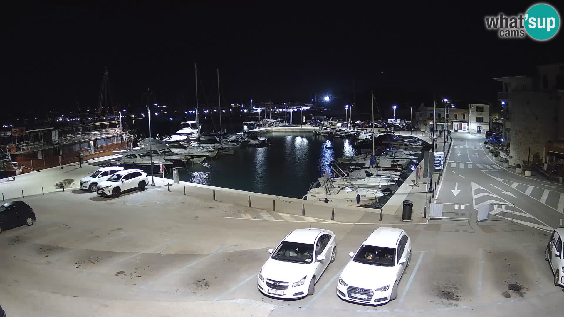 Novigrad | Porporela marina